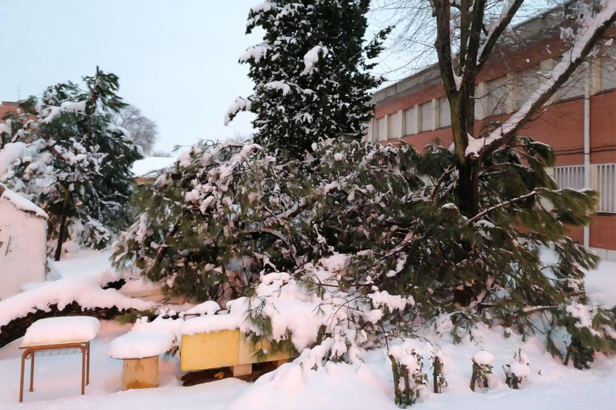 Colegio Nevado