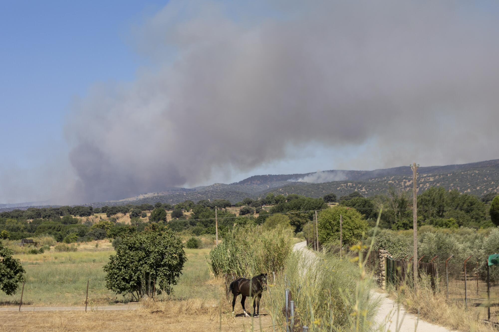 Incendios zona oeste de Madrid julio 2026 - 2