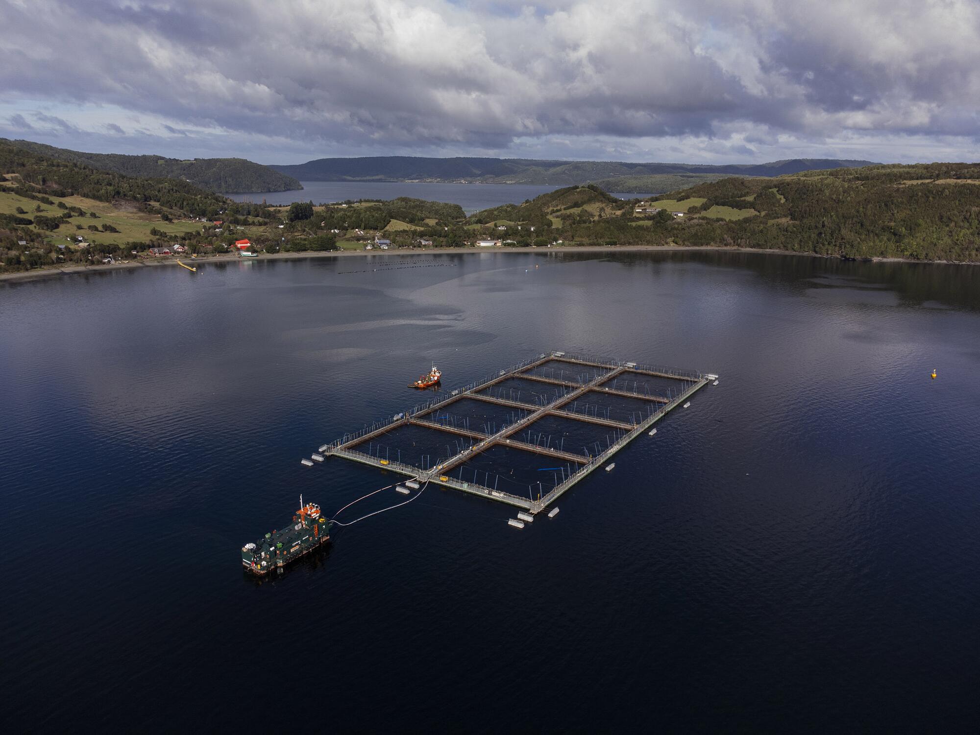 Salmoneras Chile  - 1