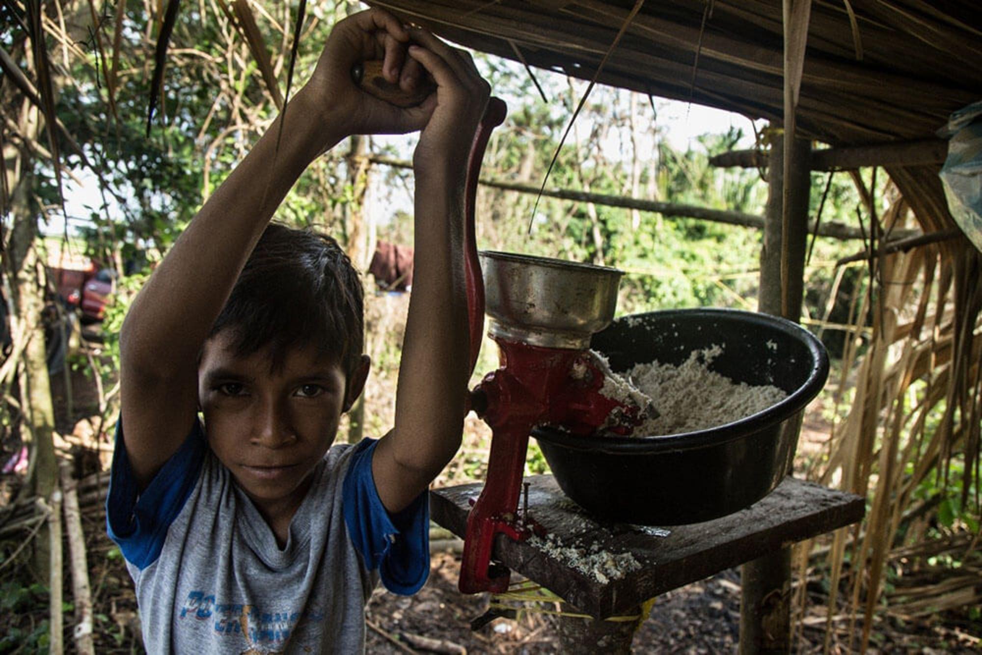 Un niño ayuda en la preparación de los alimentos