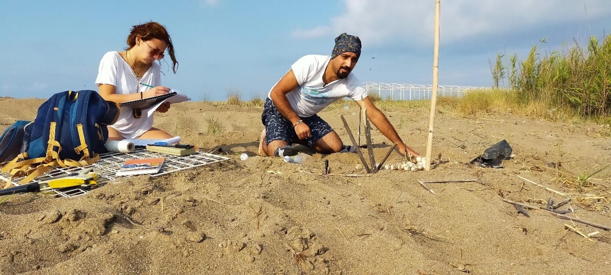 Localizando nidos tortuguitas