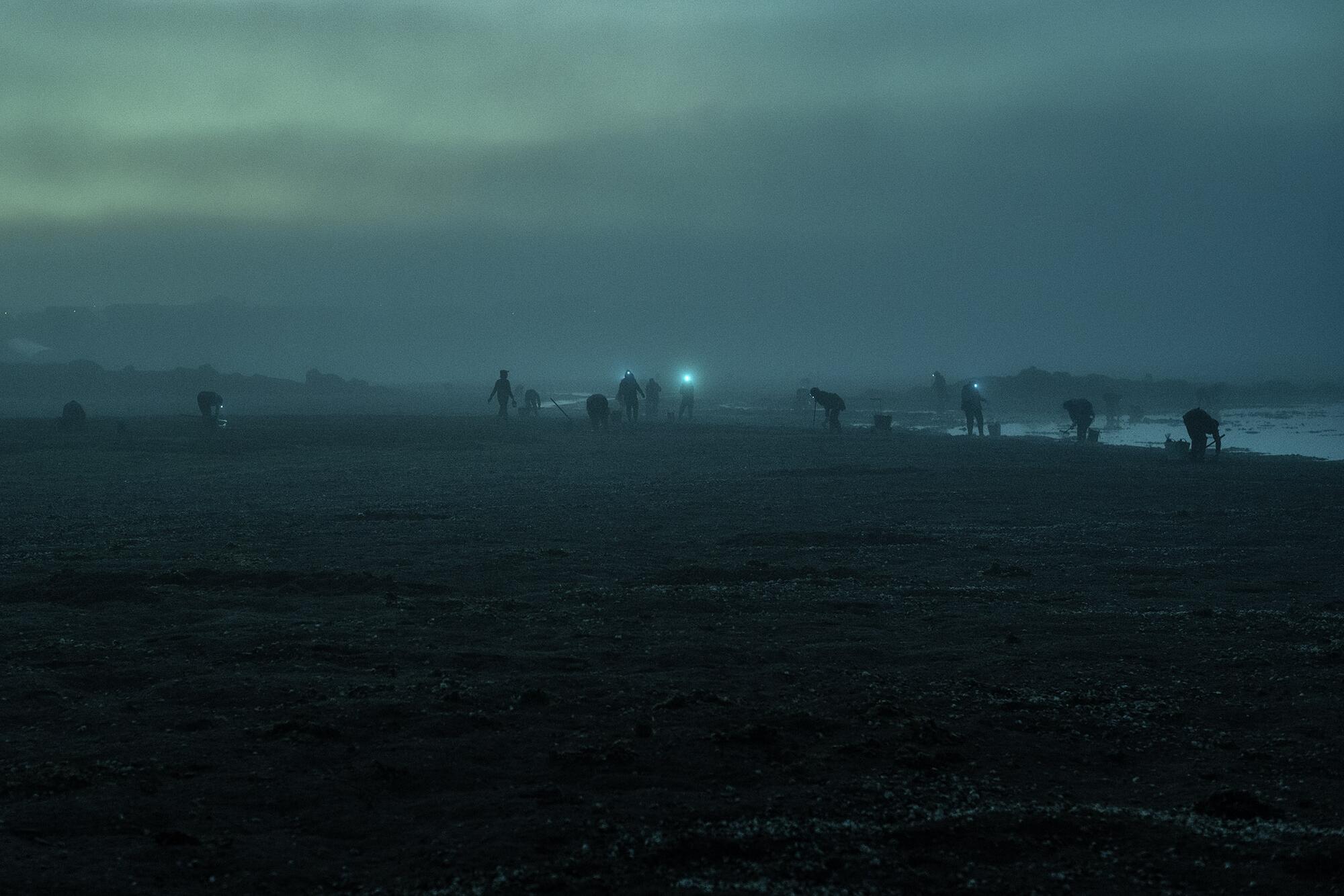 Altri Nunca Mais - 5