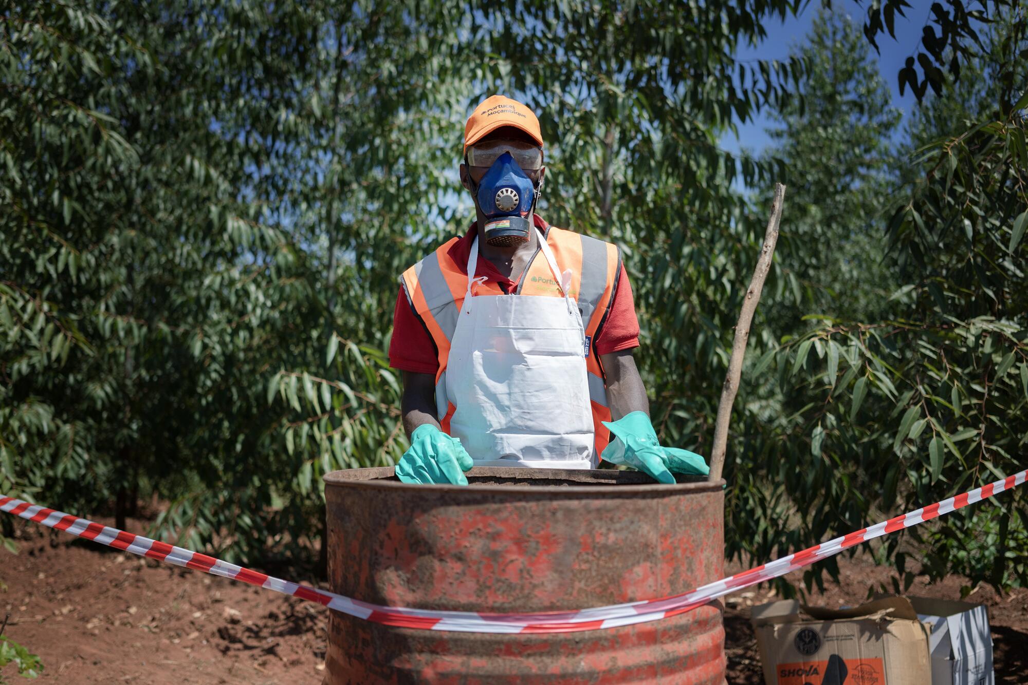 Industria celulosa en Mozambique - 1