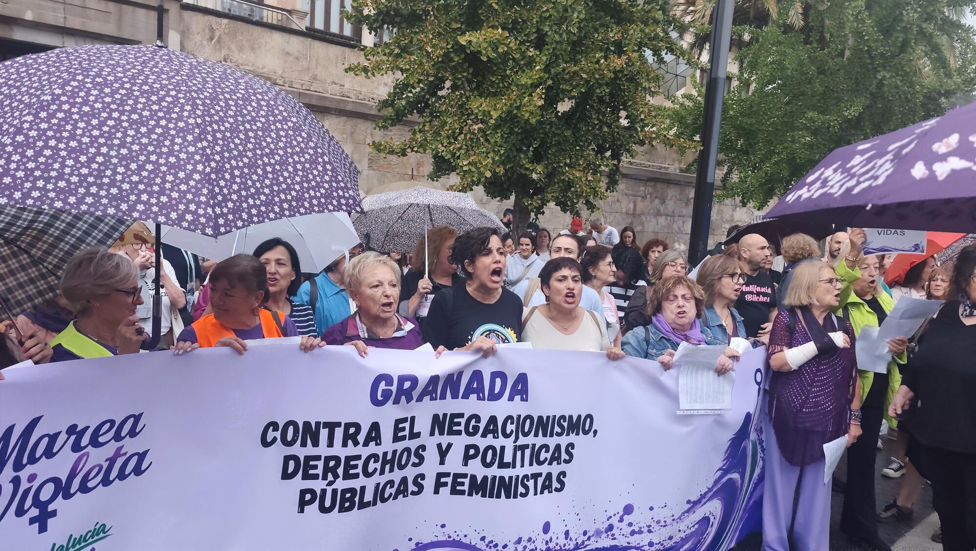 Marea Violeta Andalucía portada