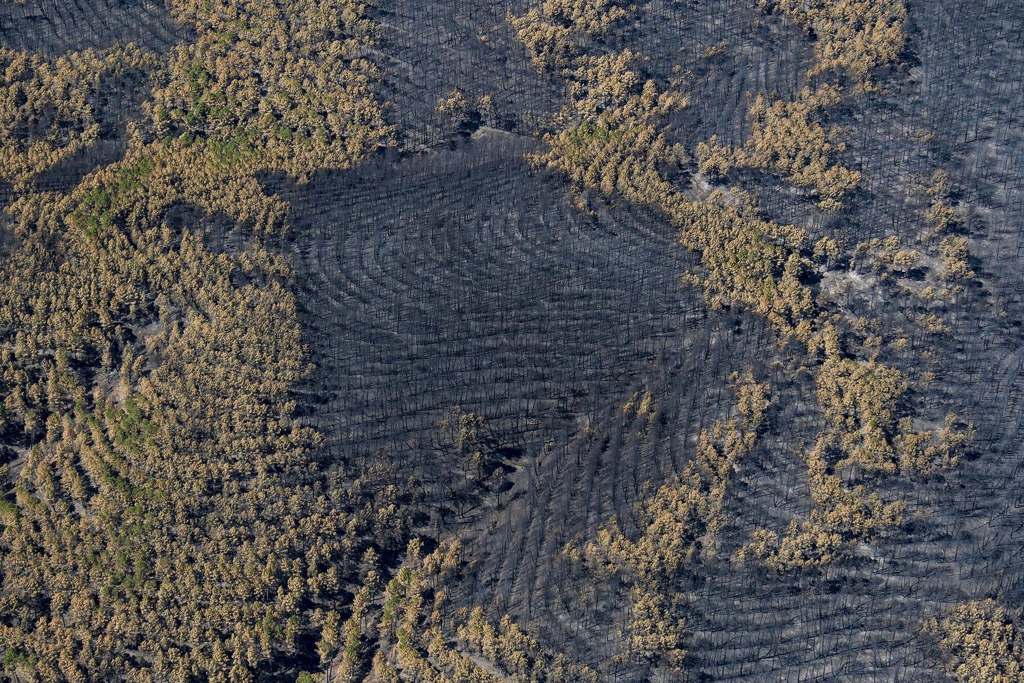 Fotografia aerea grandes incendios forestales  - 10