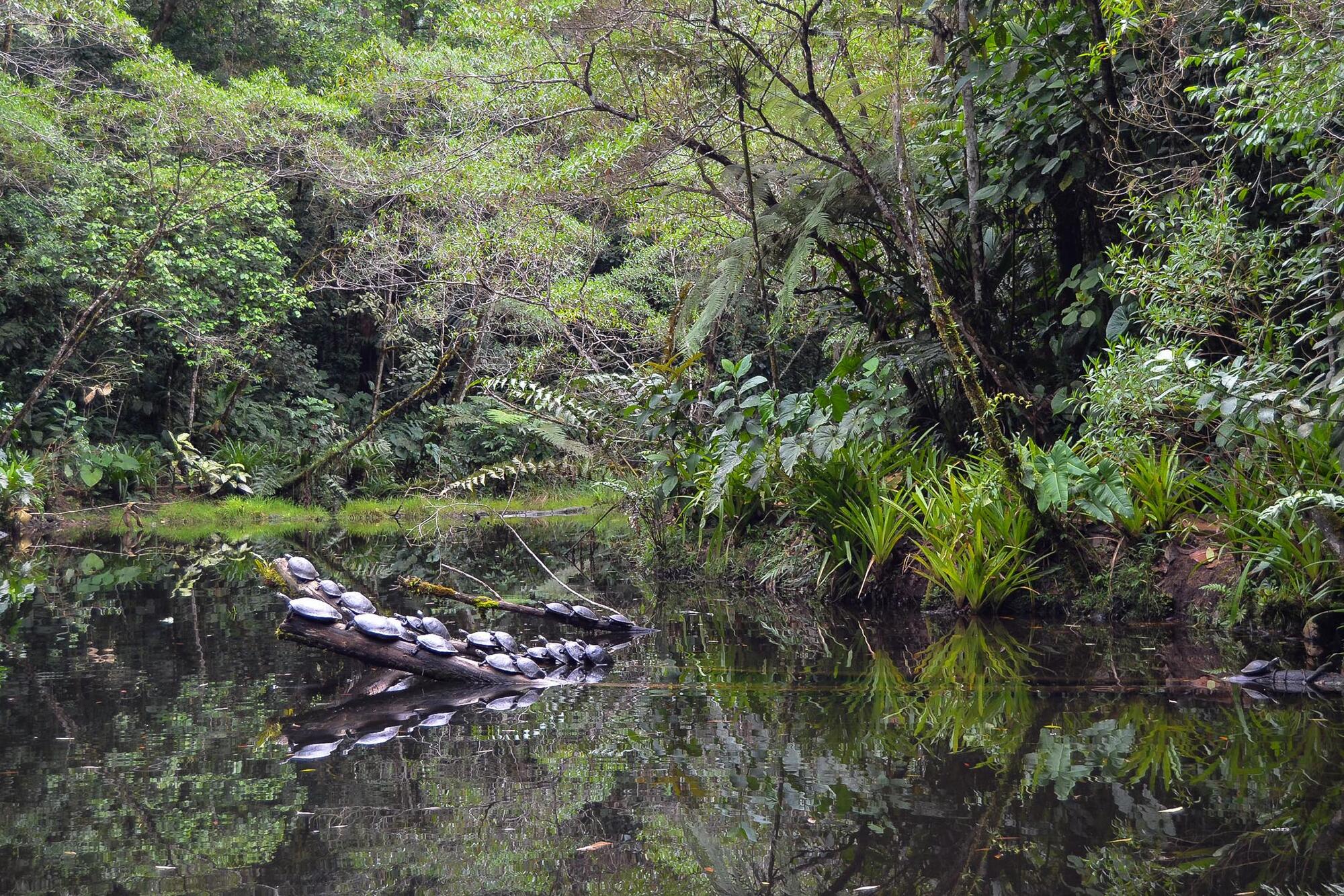 Turismo y ecología en Ecuador - 3