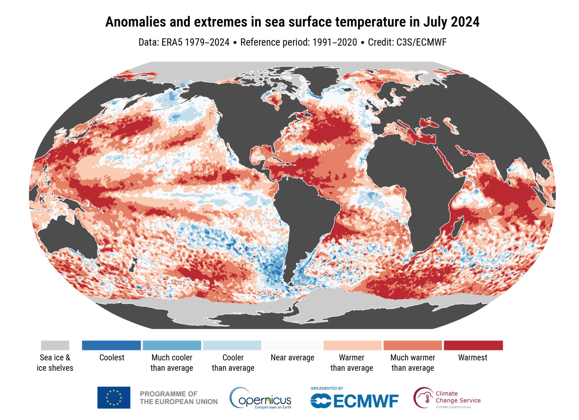 Anomalías en la temperatura de la superificie martítima global en julio de 2024