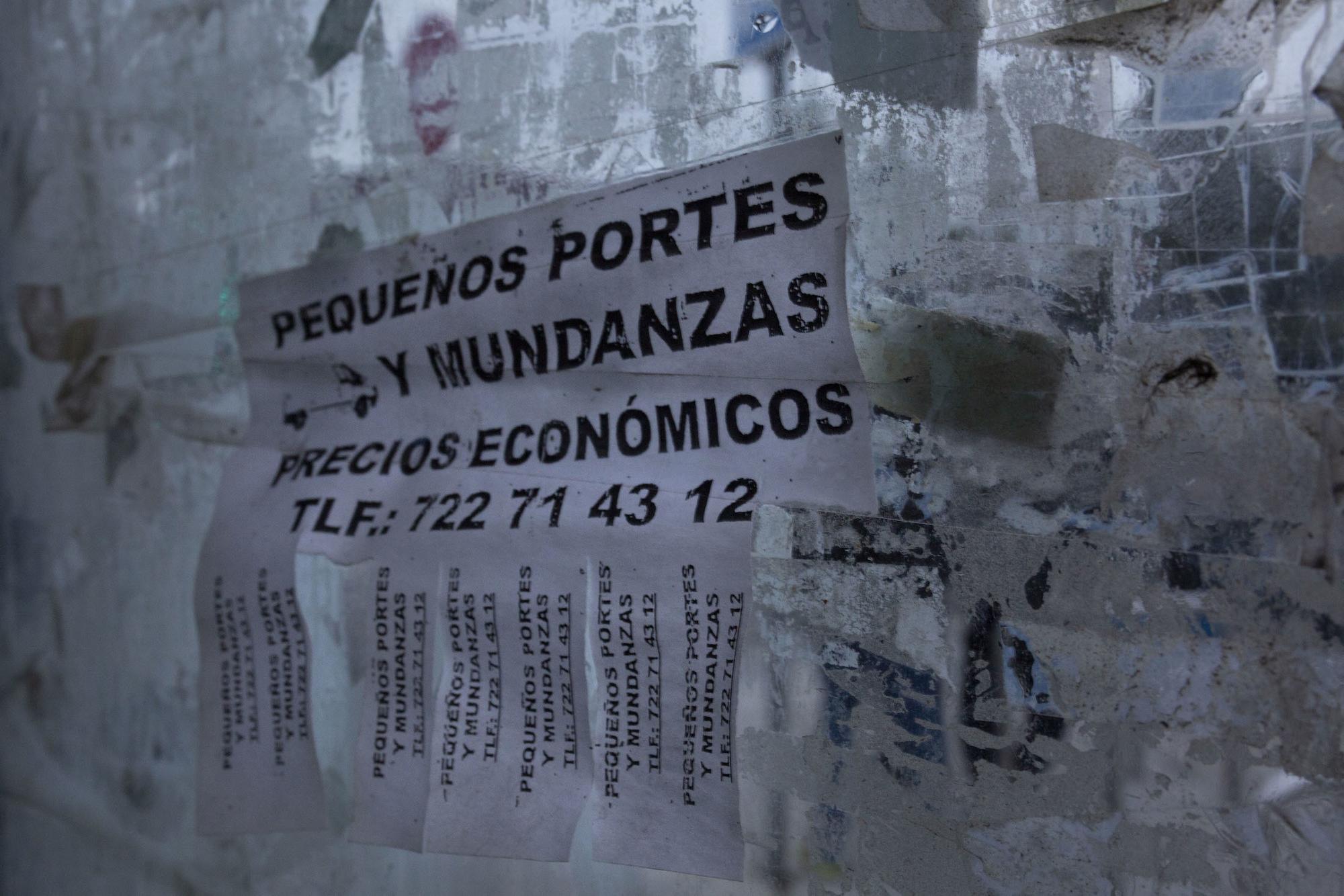 Palza Elíptica jornaleros - 7