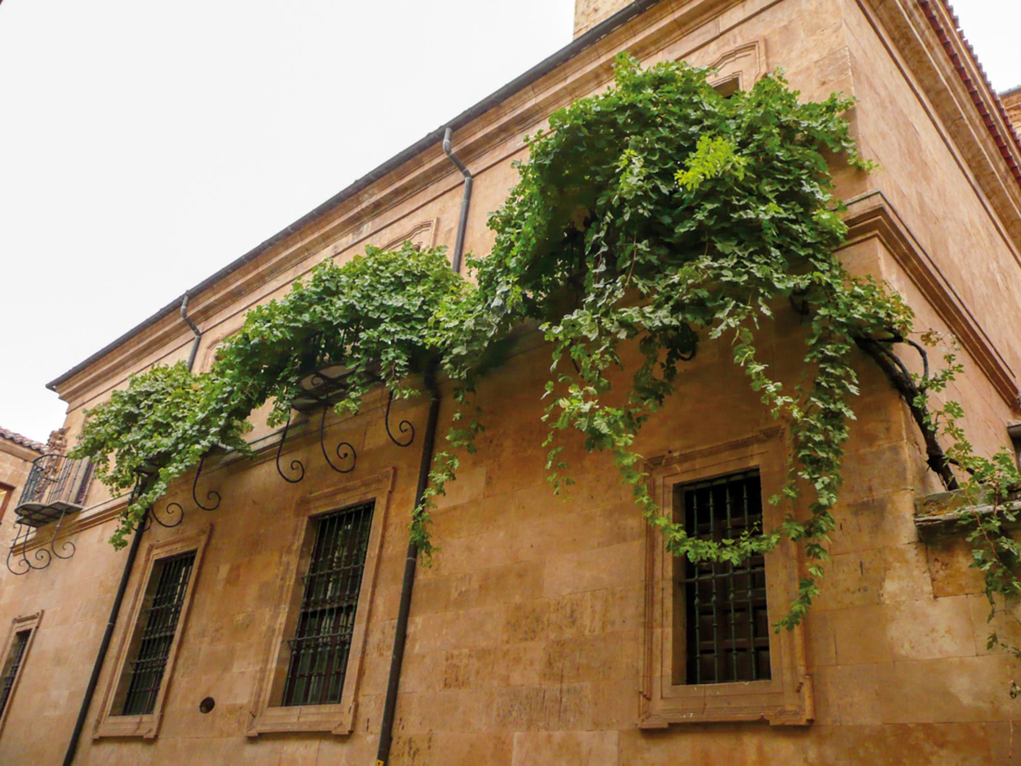 Casa Museo de Miguel de Unamuno en Salamanca