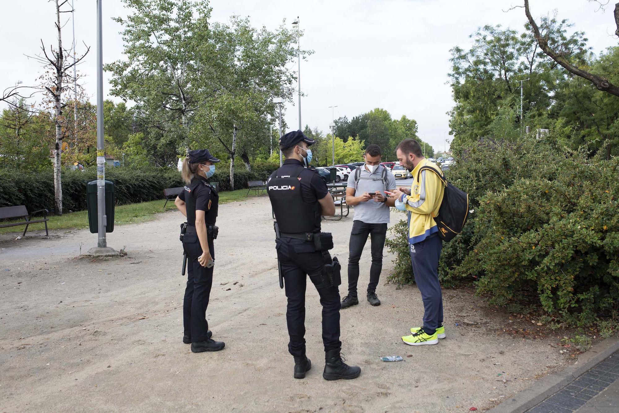 Palza Elíptica jornaleros - 12