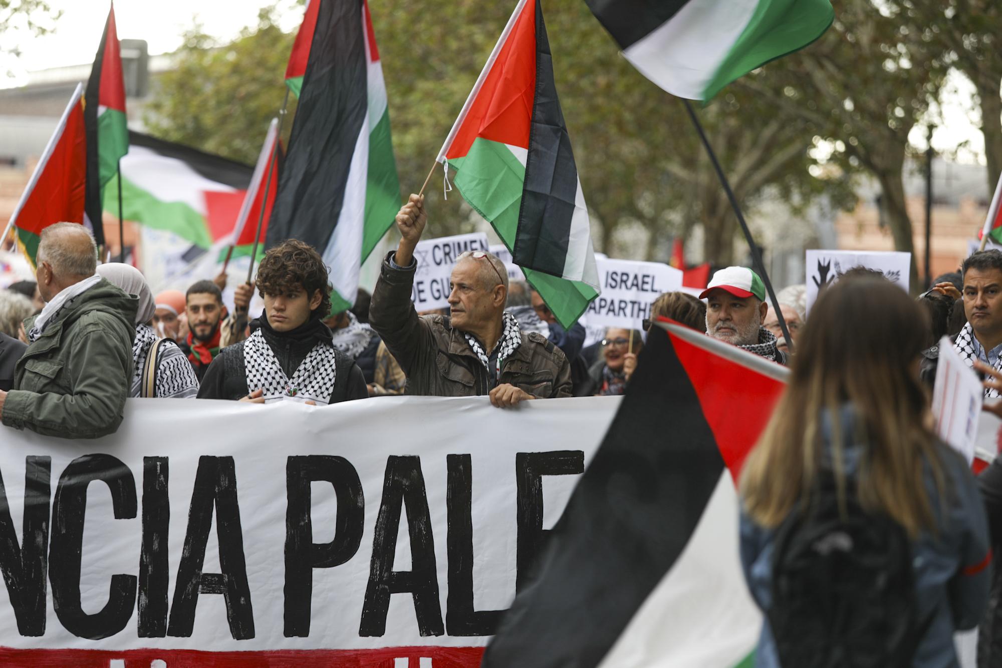 Manifestación Palestina Madrid - 1