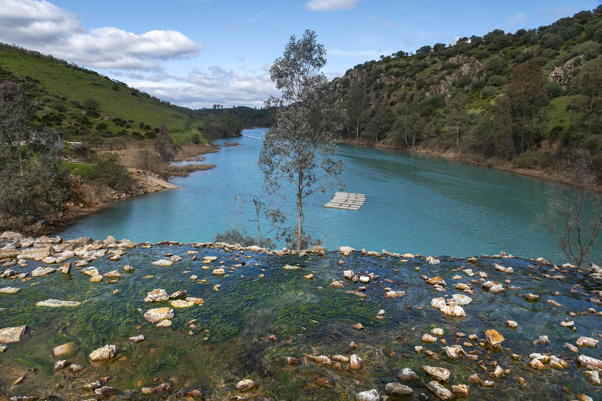 Aznalcollar Greenpeace - 8