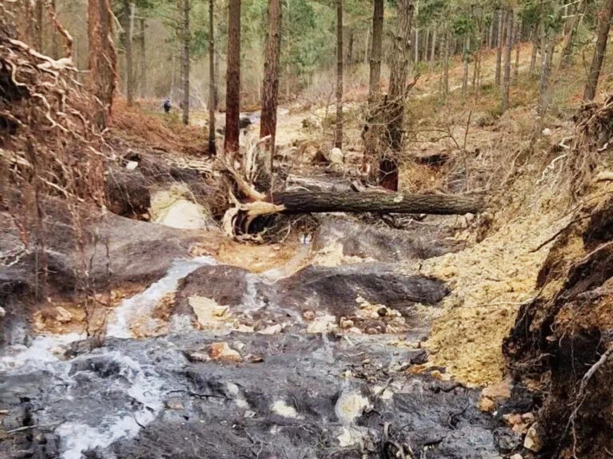 vertedura monte neme