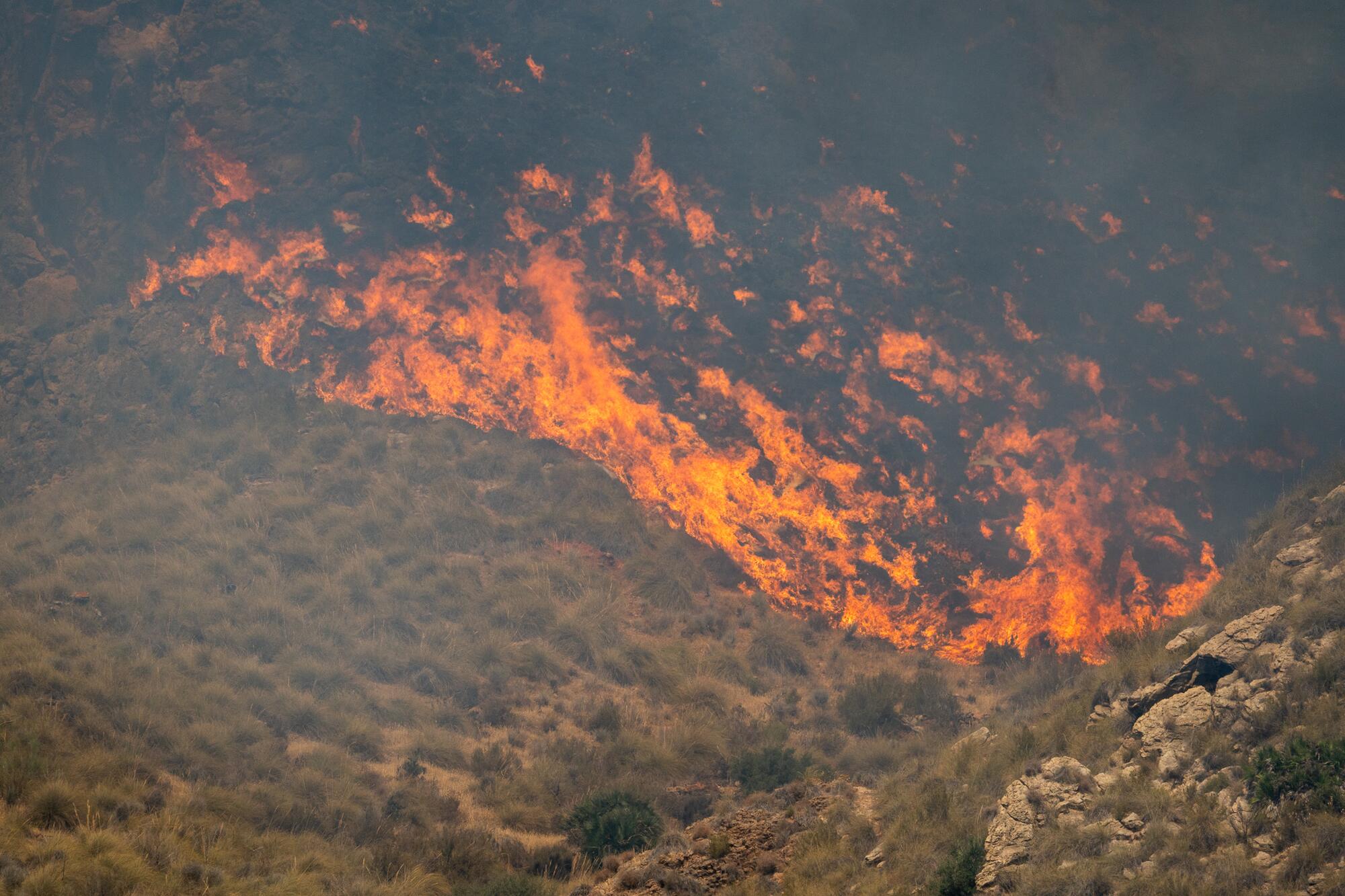 Incendio Los Gallardos