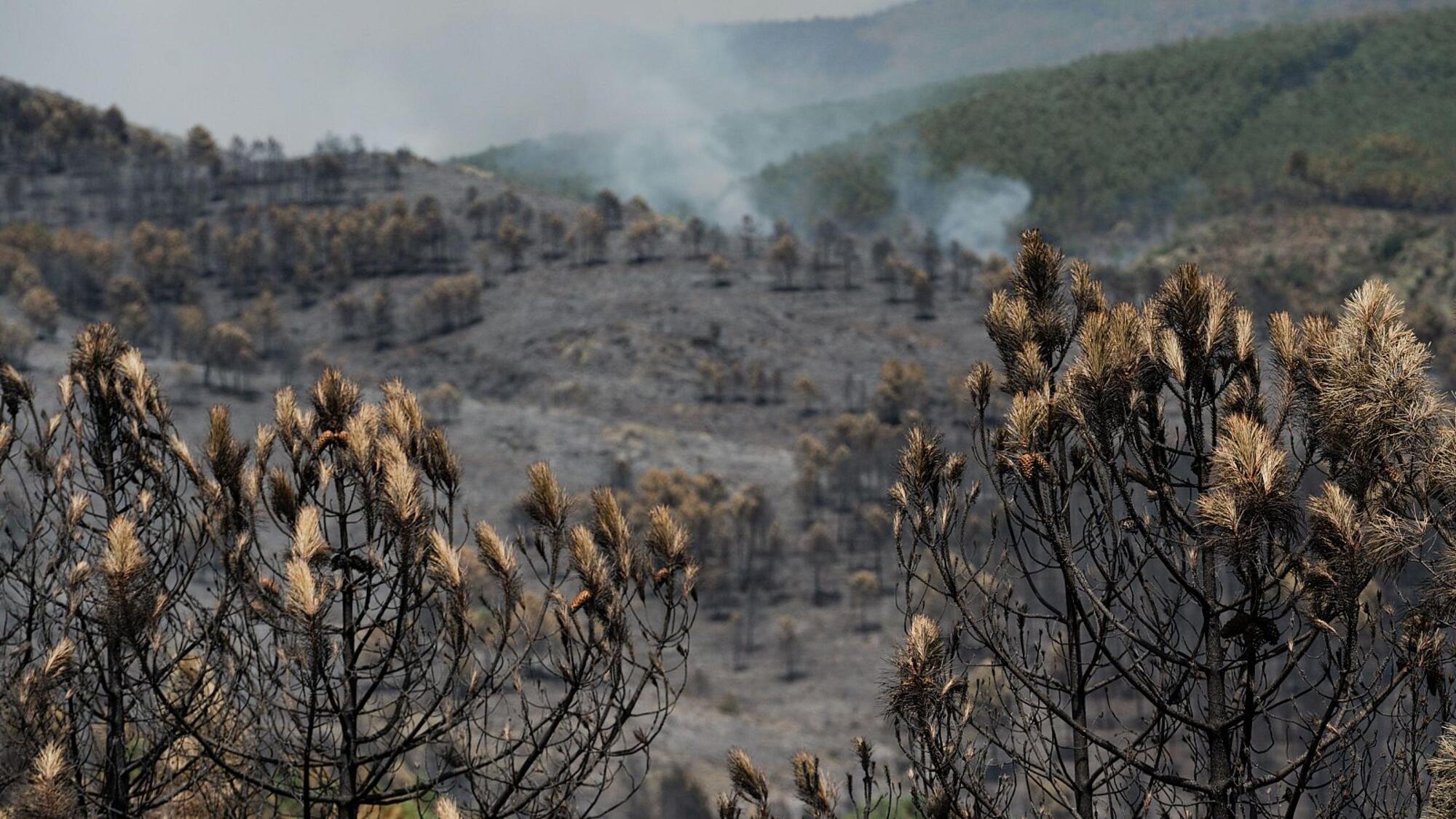Incendio Guadalajara foto RTVE