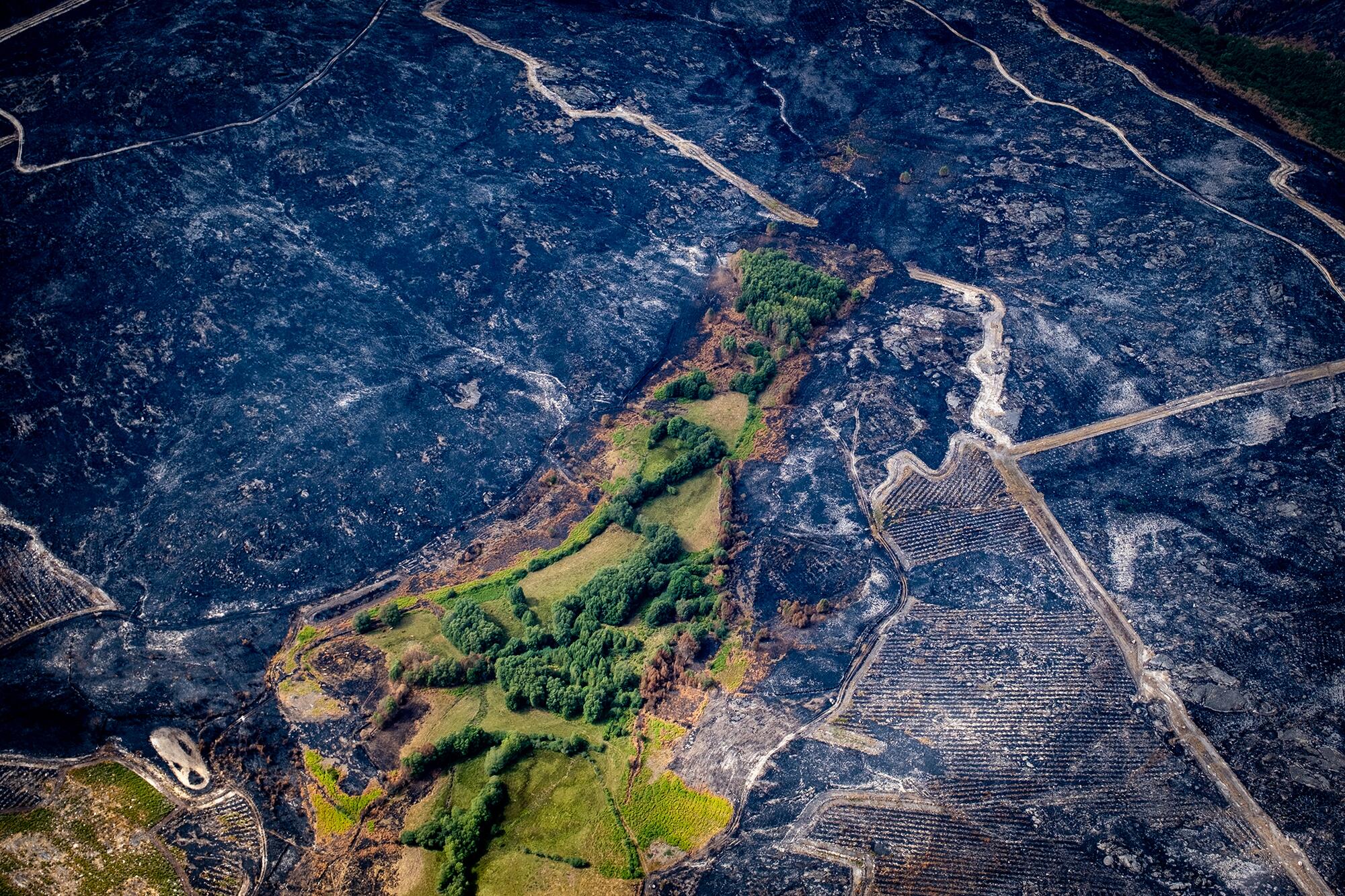 Incendios Greenpeace aereas - 9