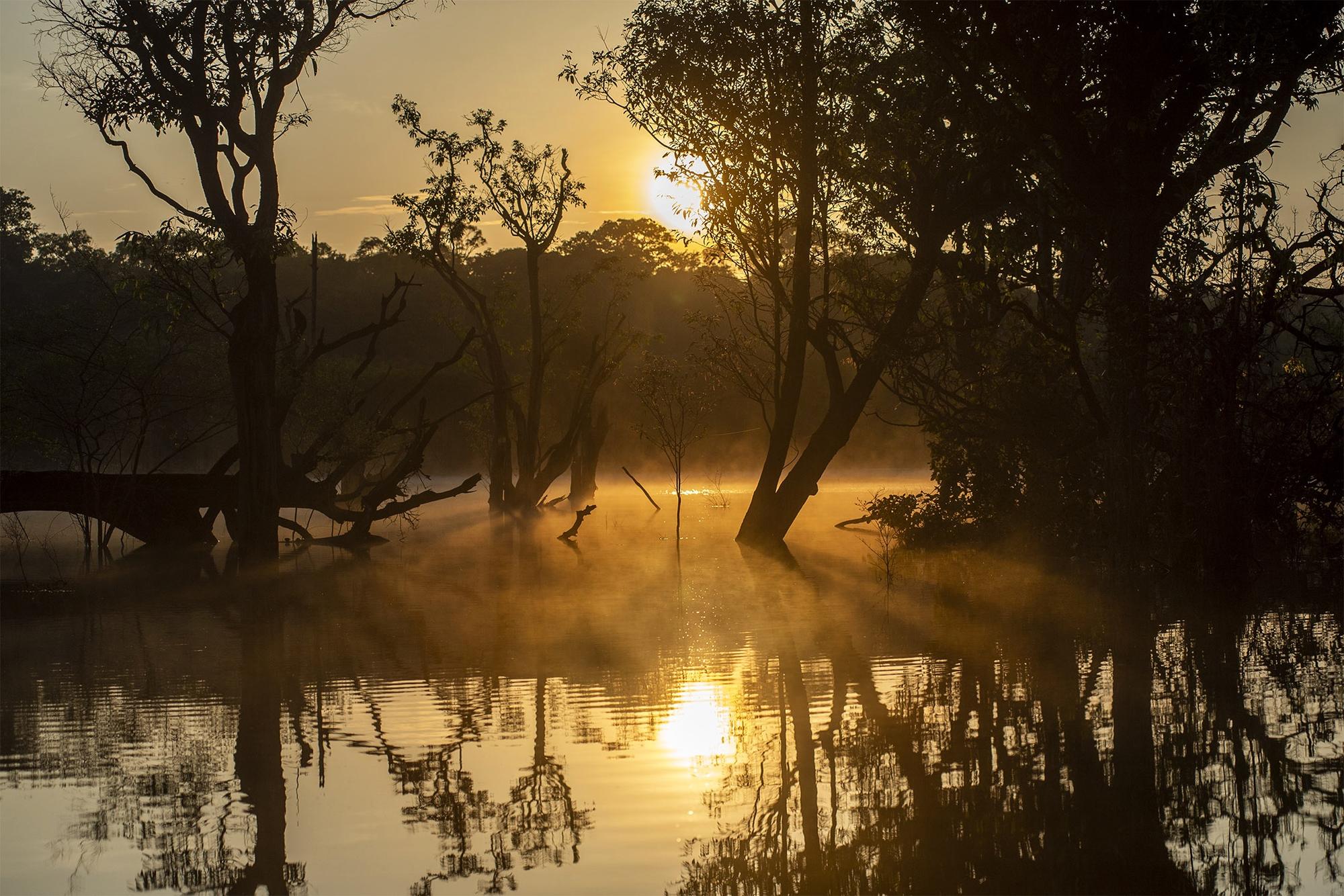 Amazonas Brasil