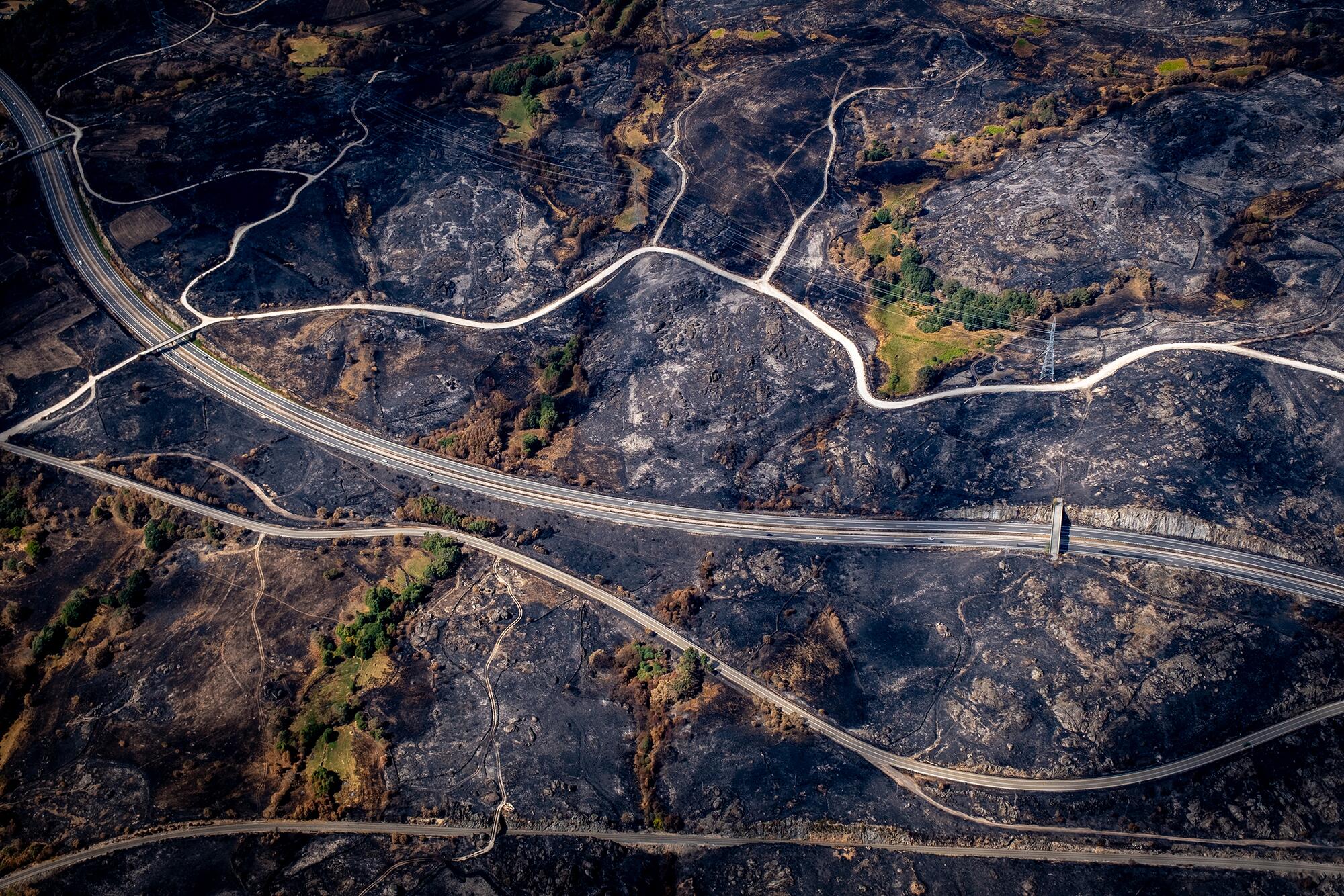 Incendios Greenpeace aereas - 8