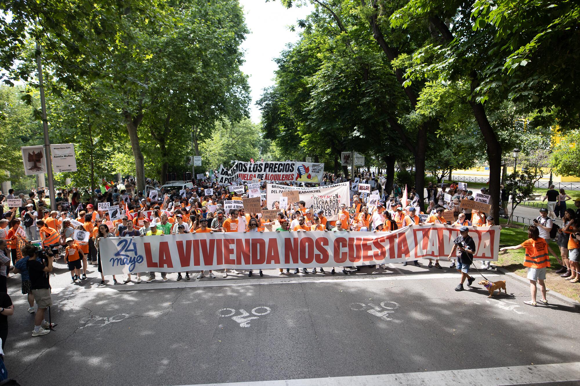Manifestación Vivienda 24 Mayo 2026 David Canales - 6