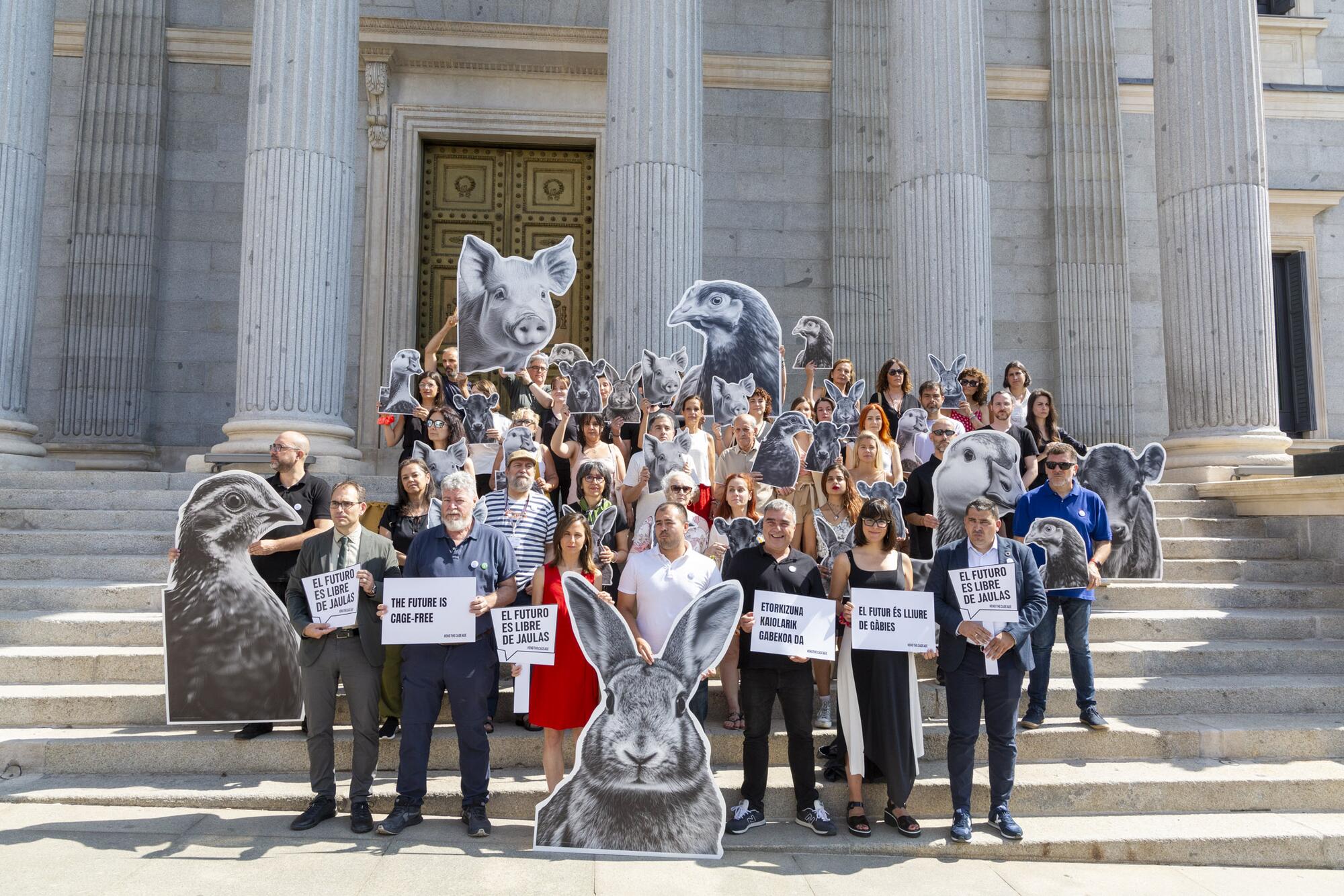Jaulas Congreso - 2