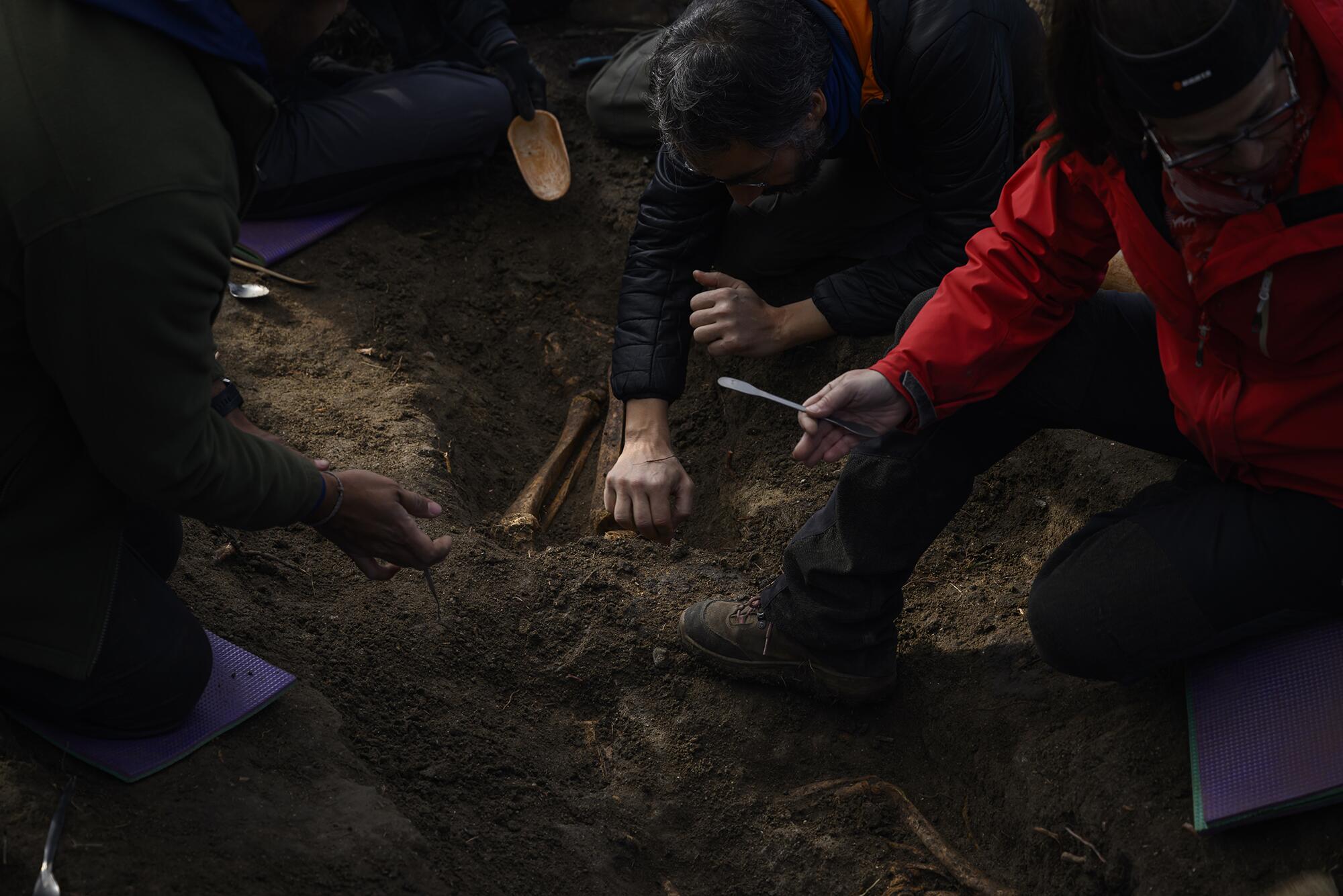 Brigadista Boadilla - 6