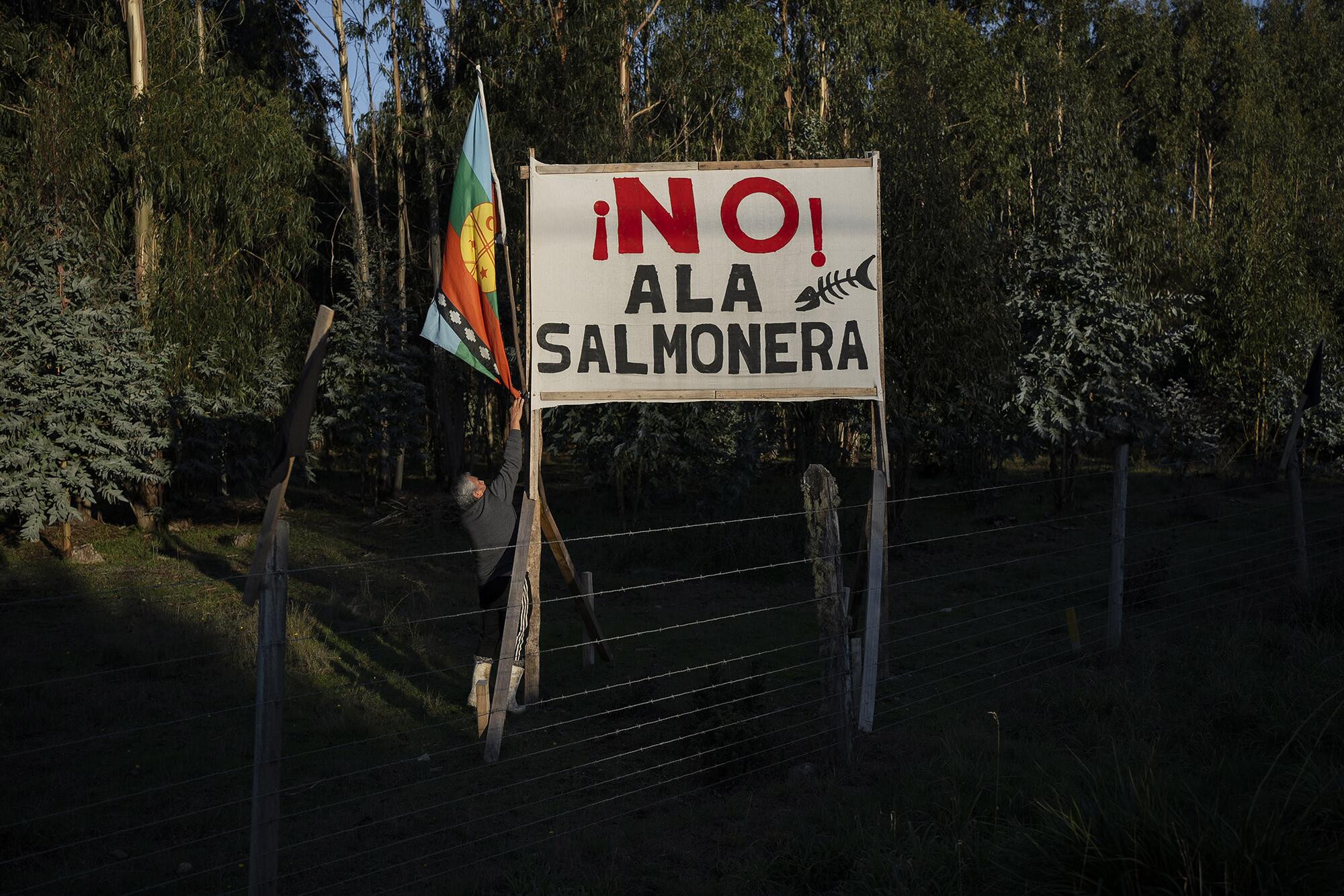 Salmoneras Chile  - 2