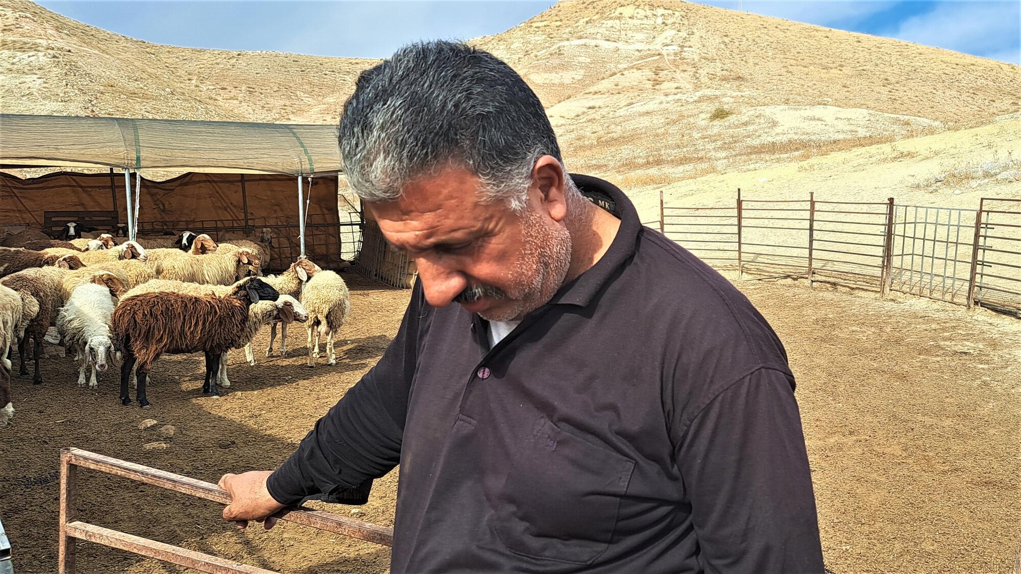 Pastor beduino Cisjordania.