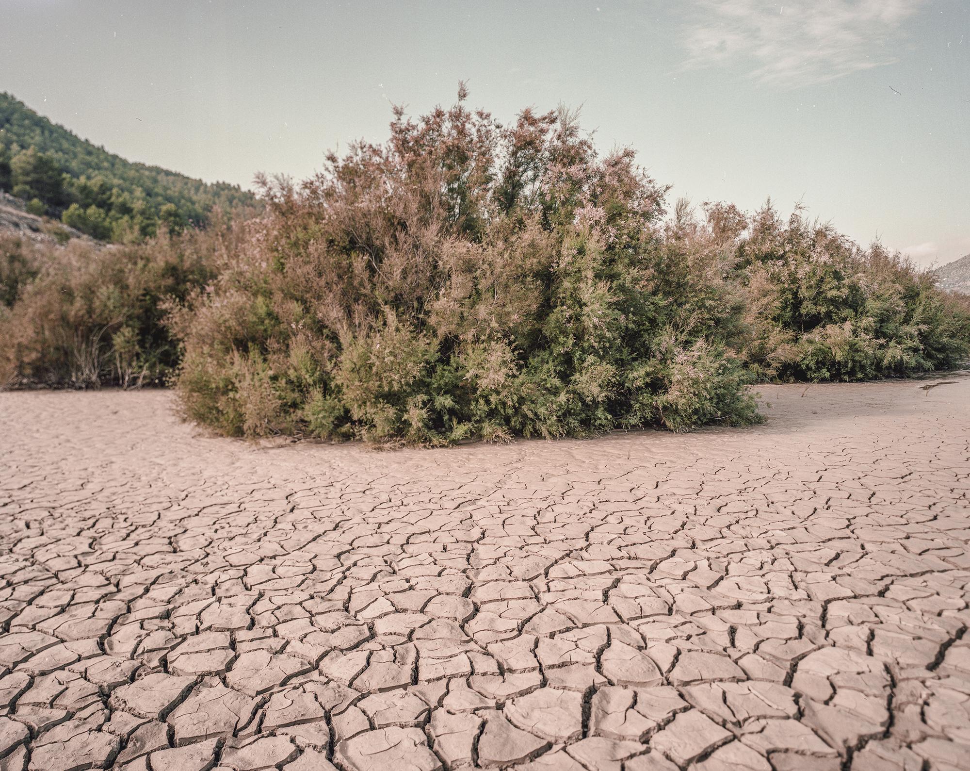 Árida: crisis climática y desertificación en el sureste ibérico - 6