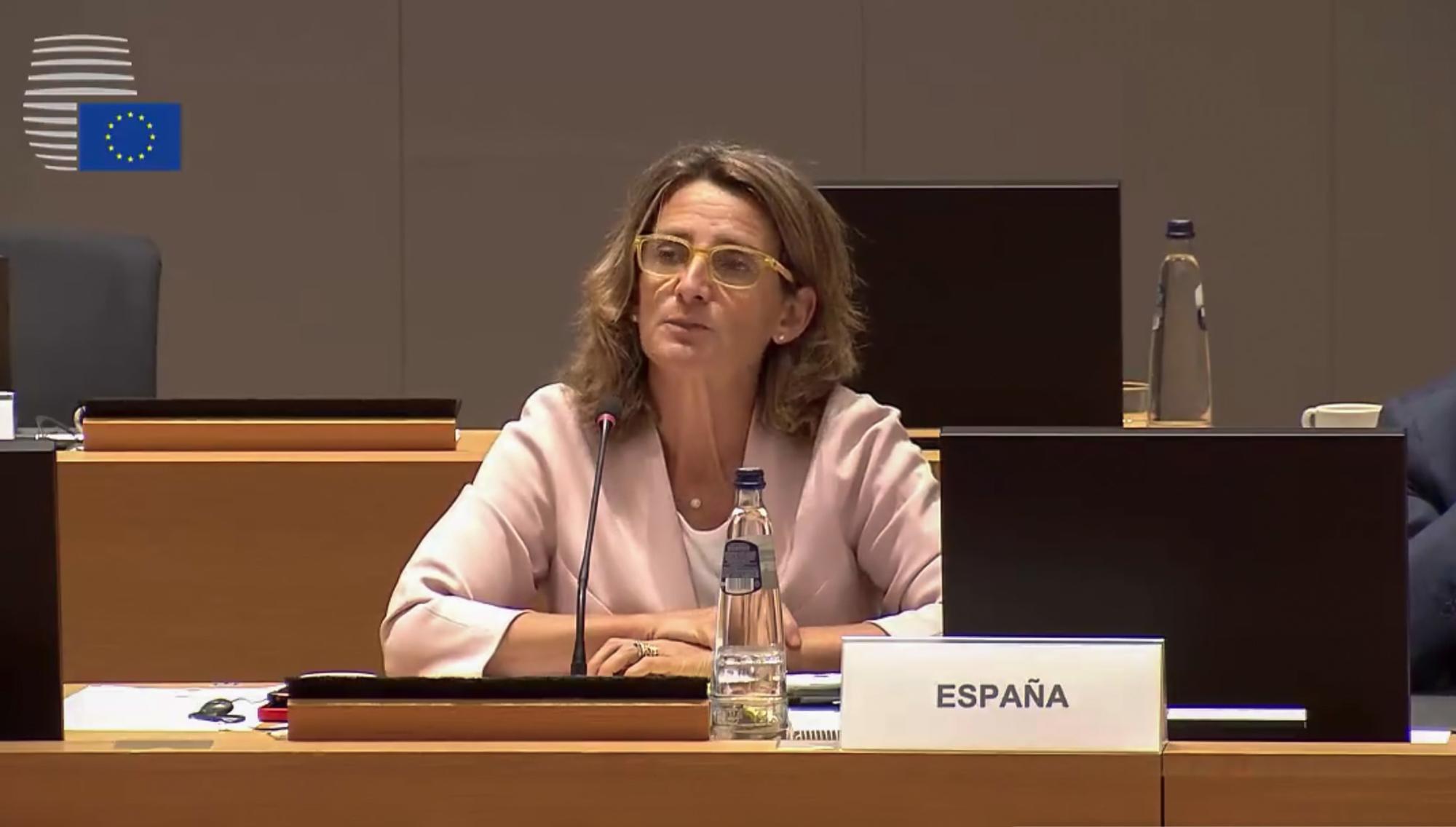 Teresa Ribera Parlamento Europeo