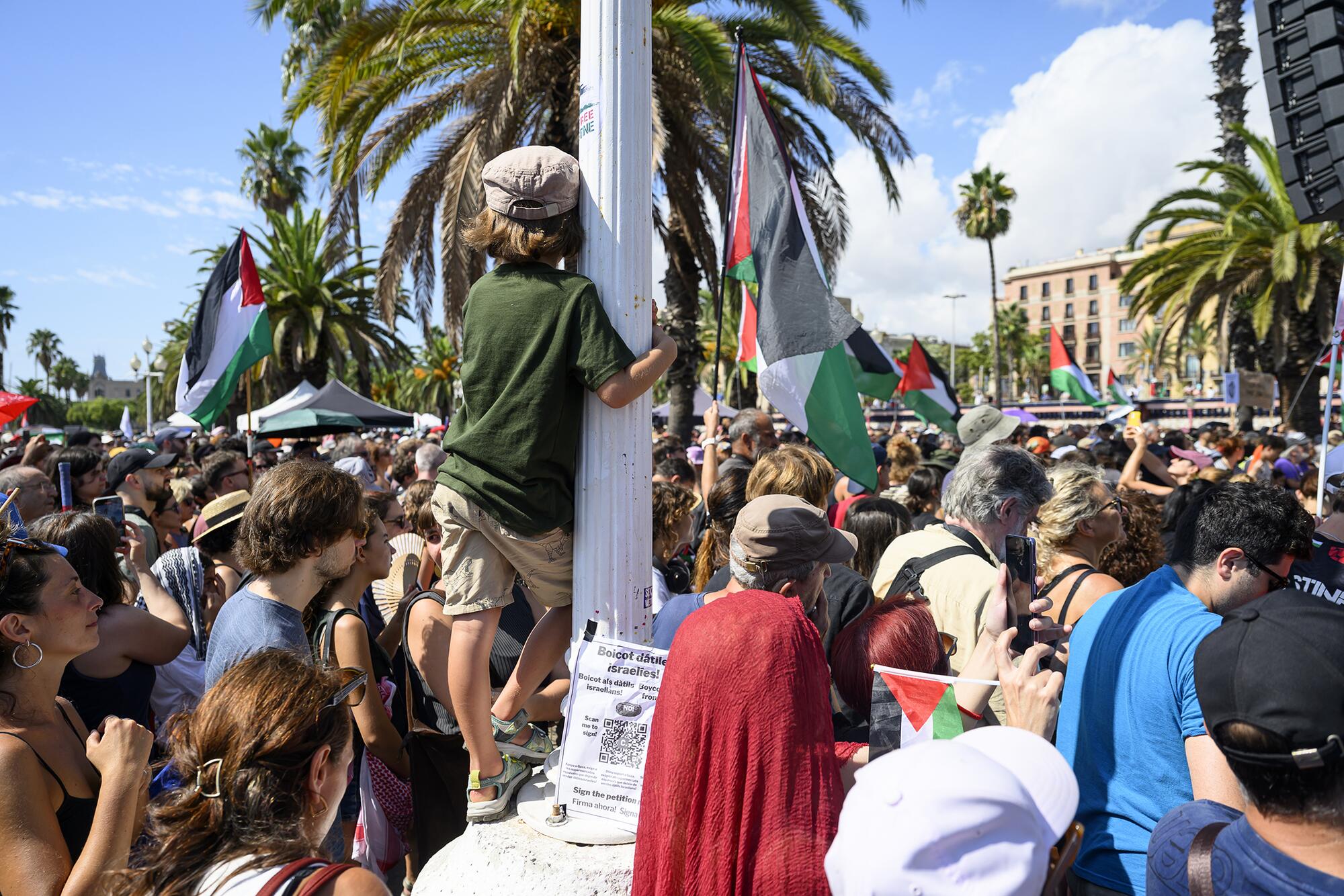 Summd Flotilla - 15