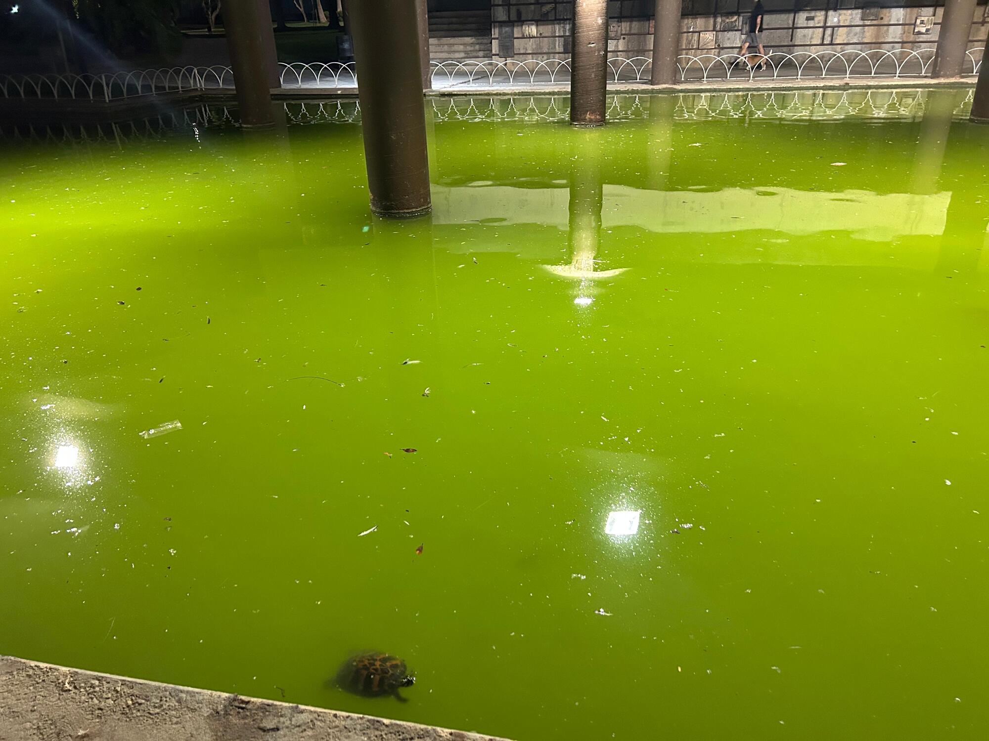 Portada Contaminación Parque Oeste