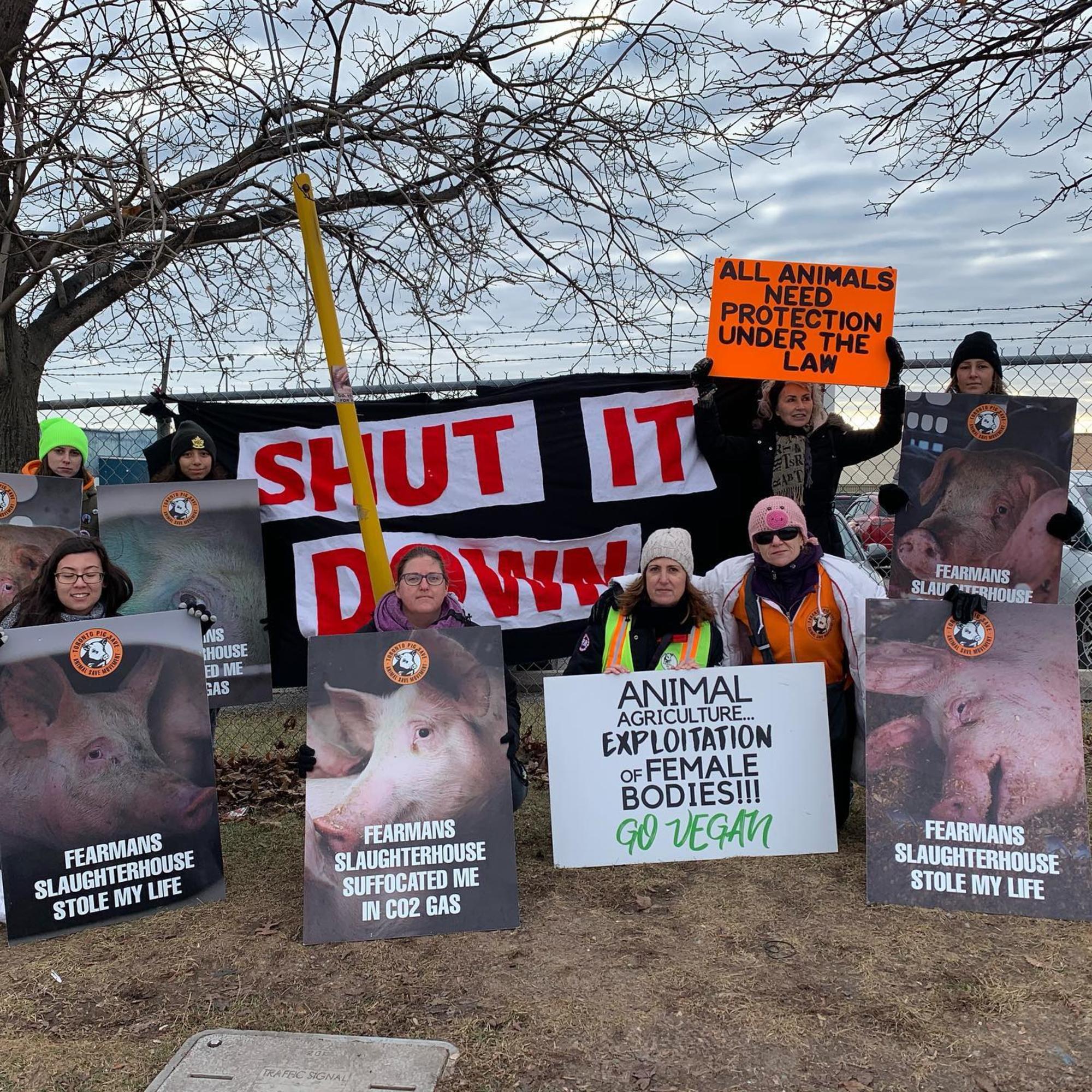 Toronto Pig Save