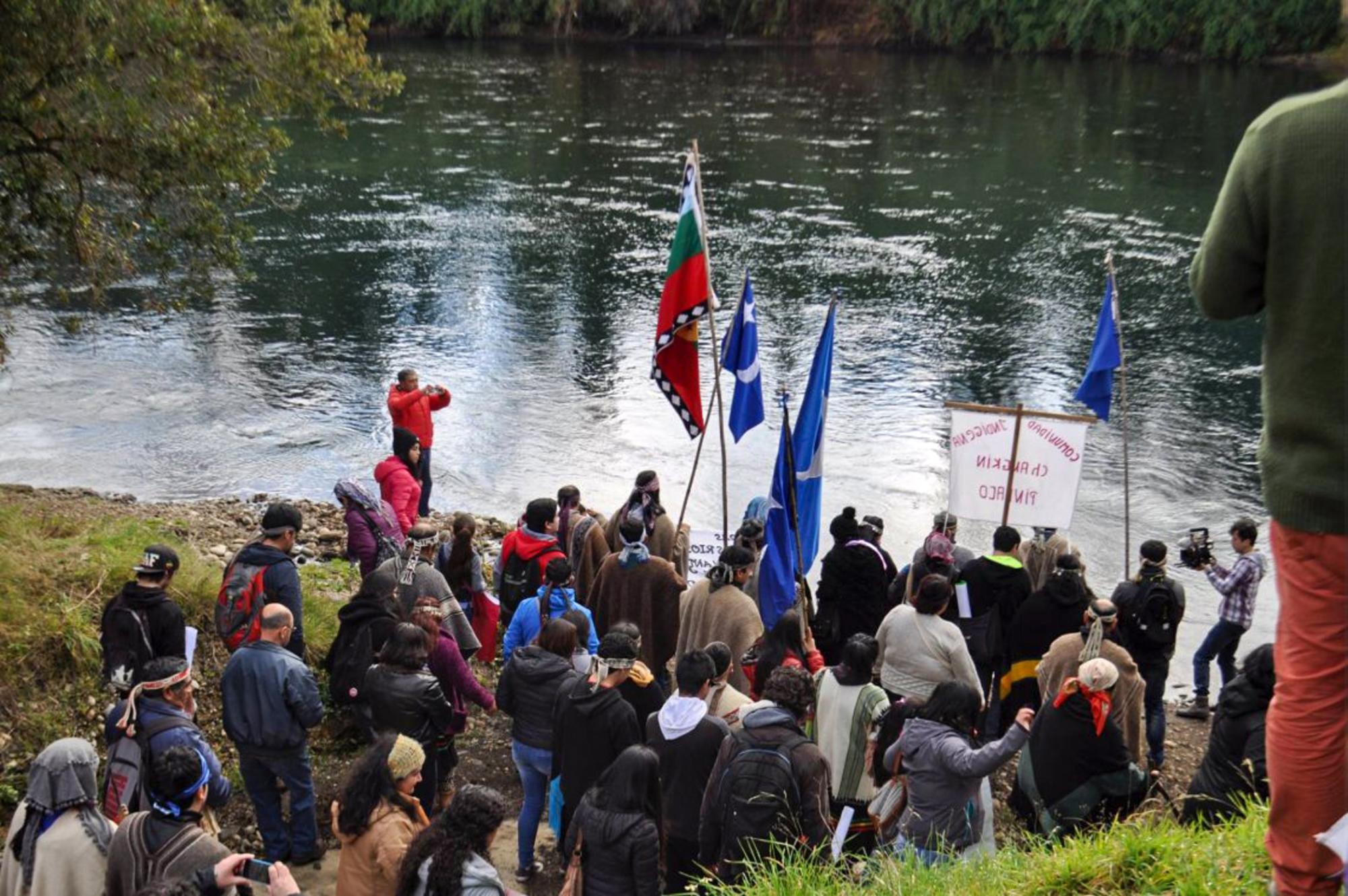 Marcha por la defensa de los ríos libres y de los territorios mapuche