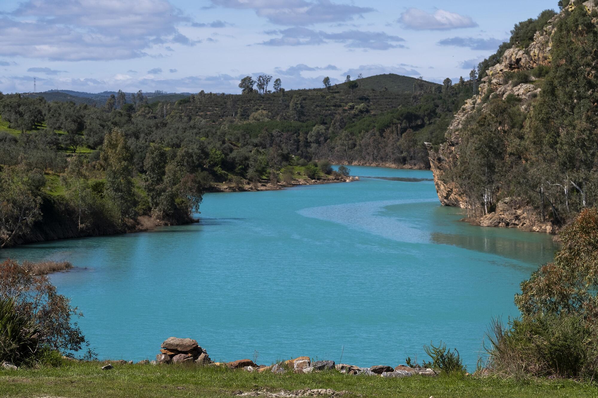 Aznalcollar Greenpeace - 2