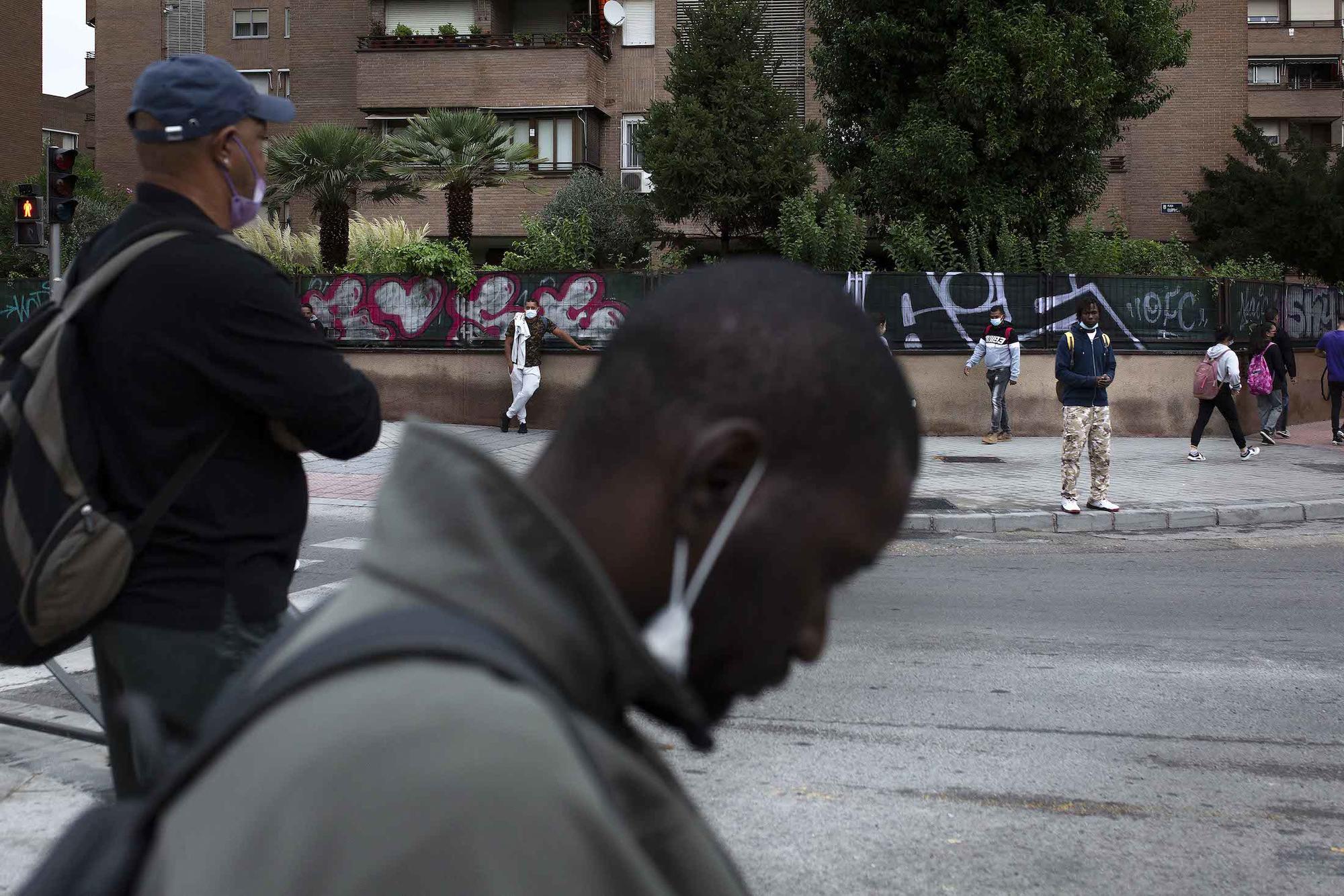 Palza Elíptica jornaleros - 8