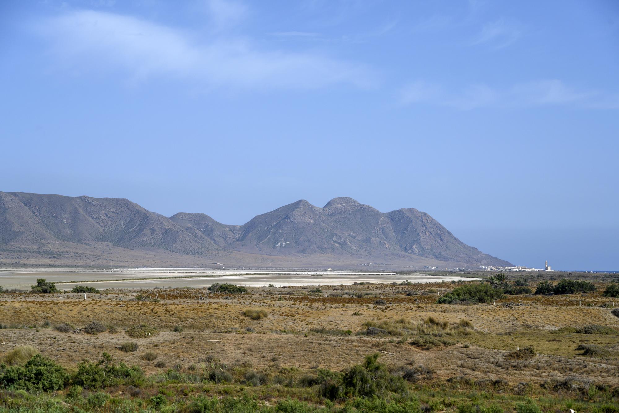 Salinas Cabo de Gata - 1