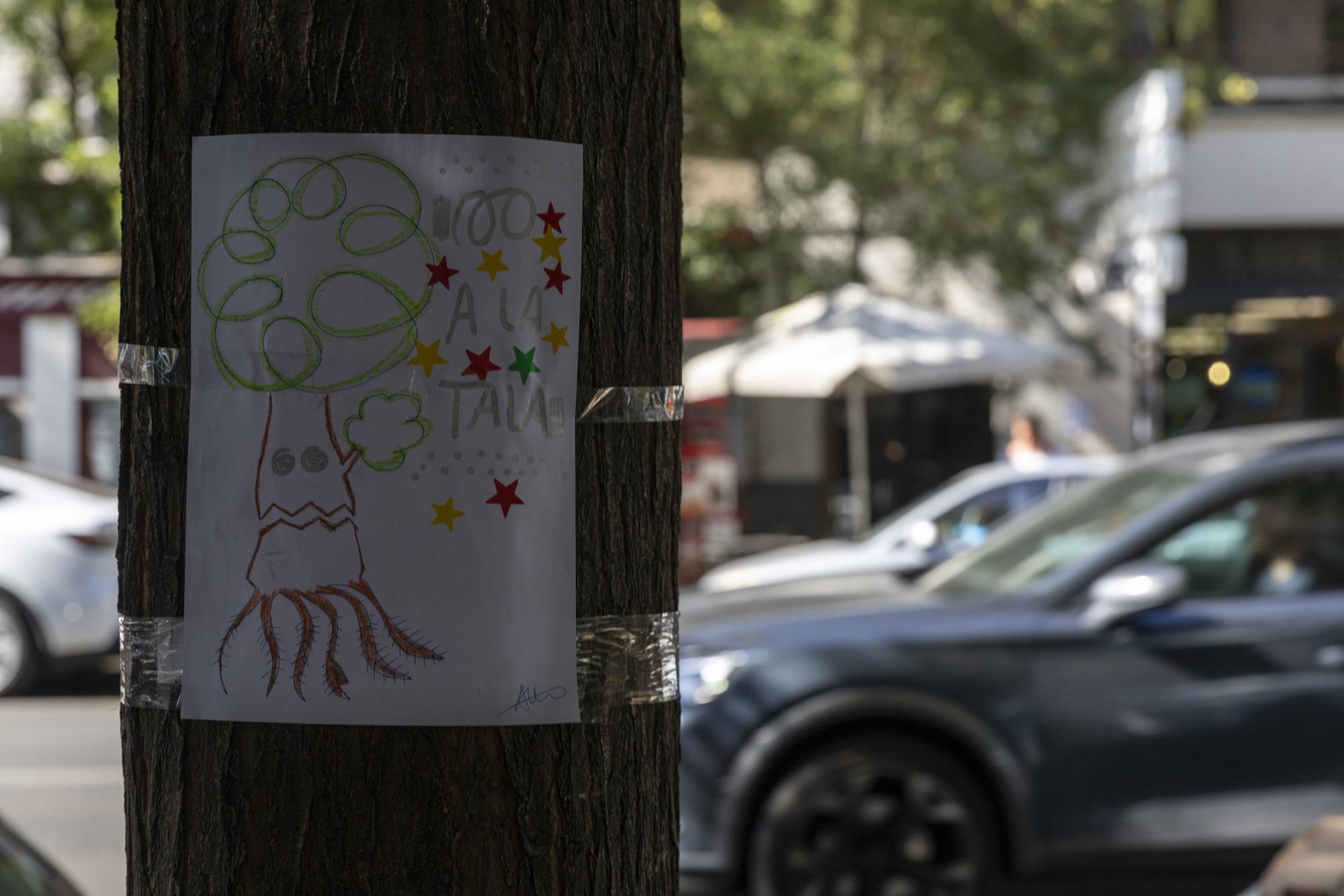 Ancora No a la Tala - 3