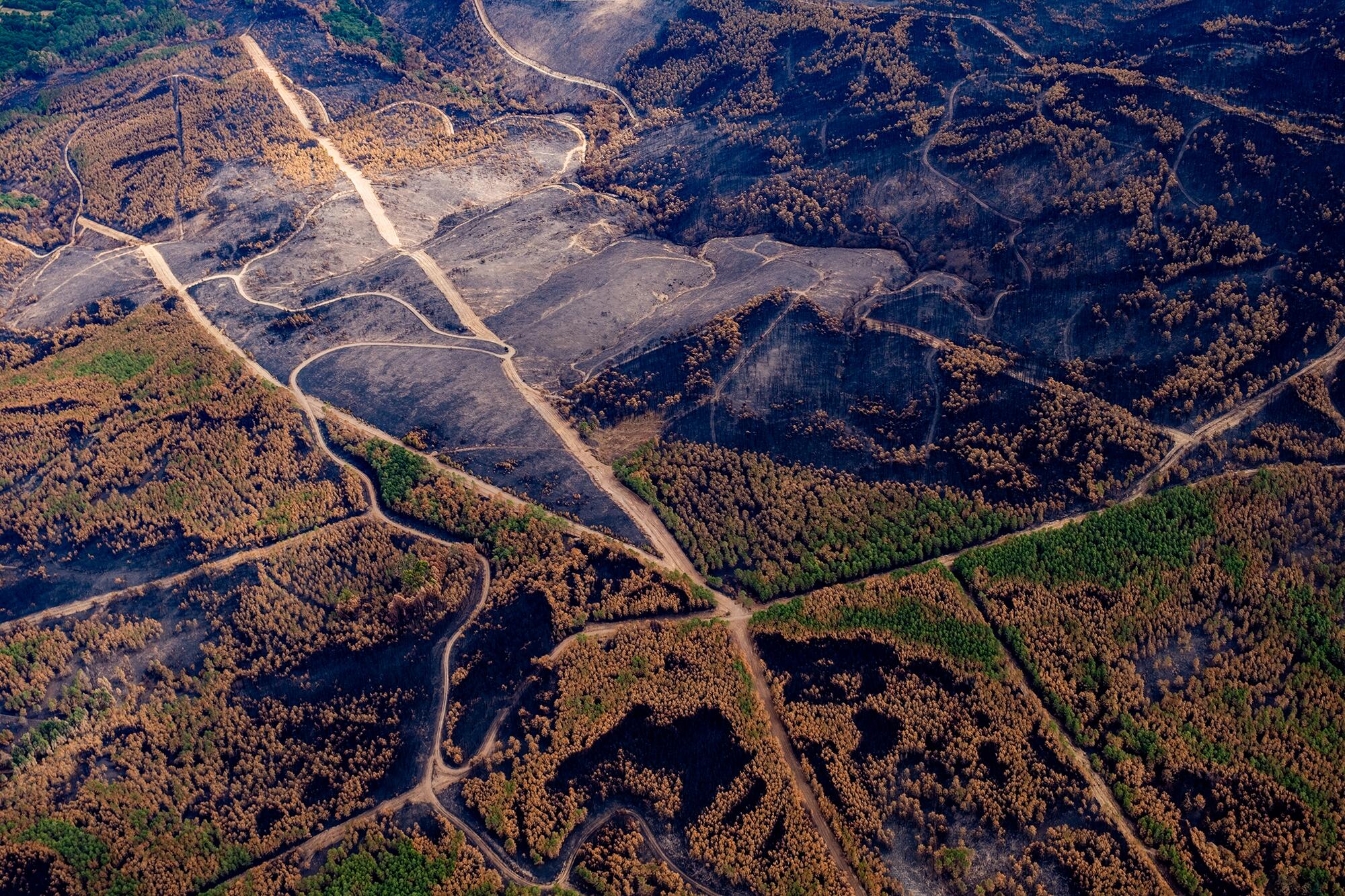 Incendios Greenpeace aereas - 14