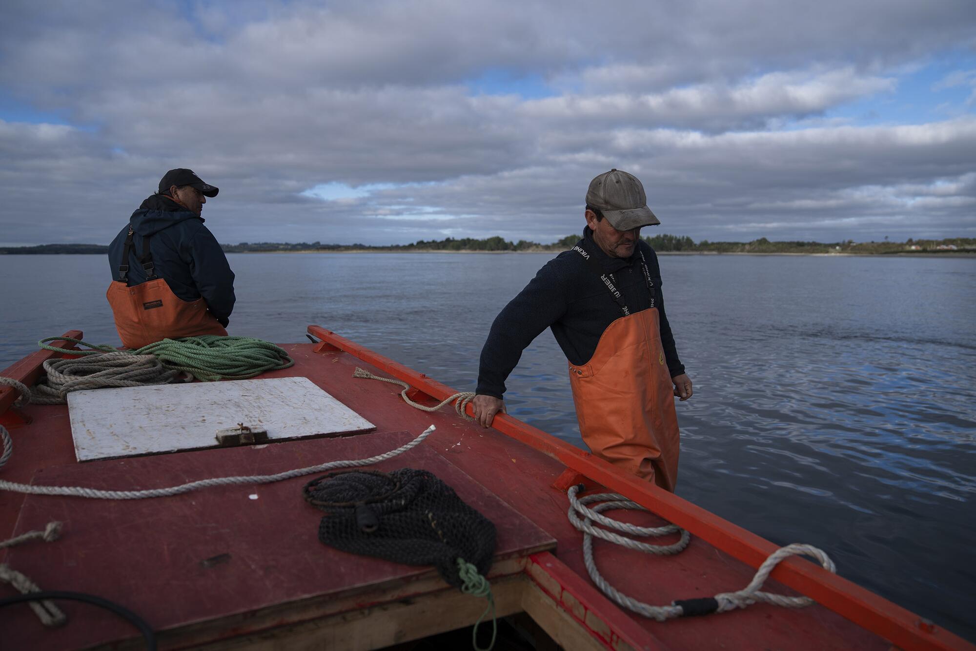 Salmoneras Chile  - 7