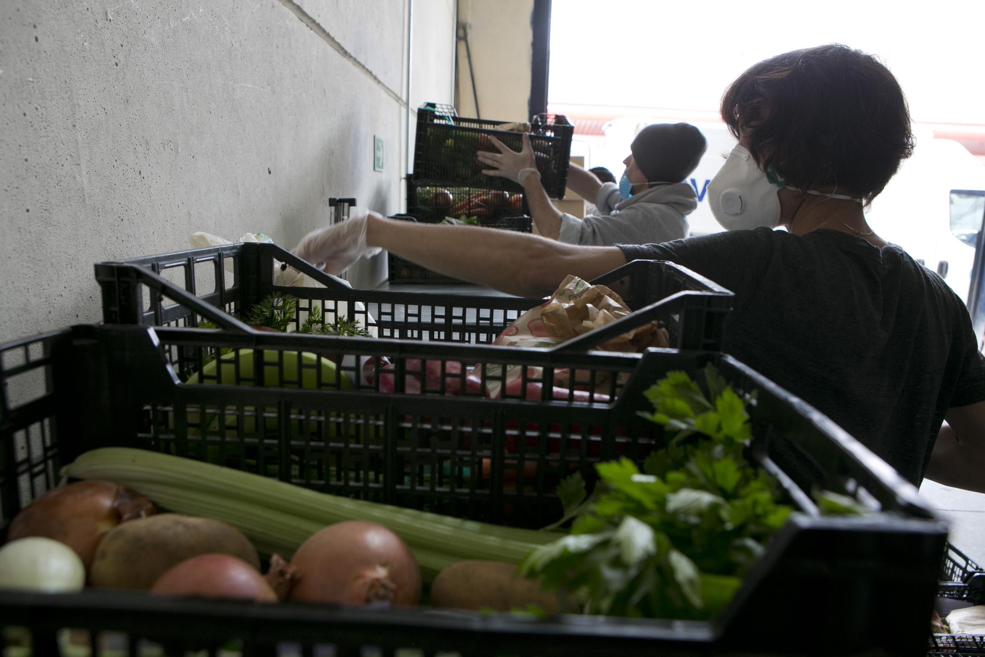 De la huerta a tu casa en pleno confinamiento - 9