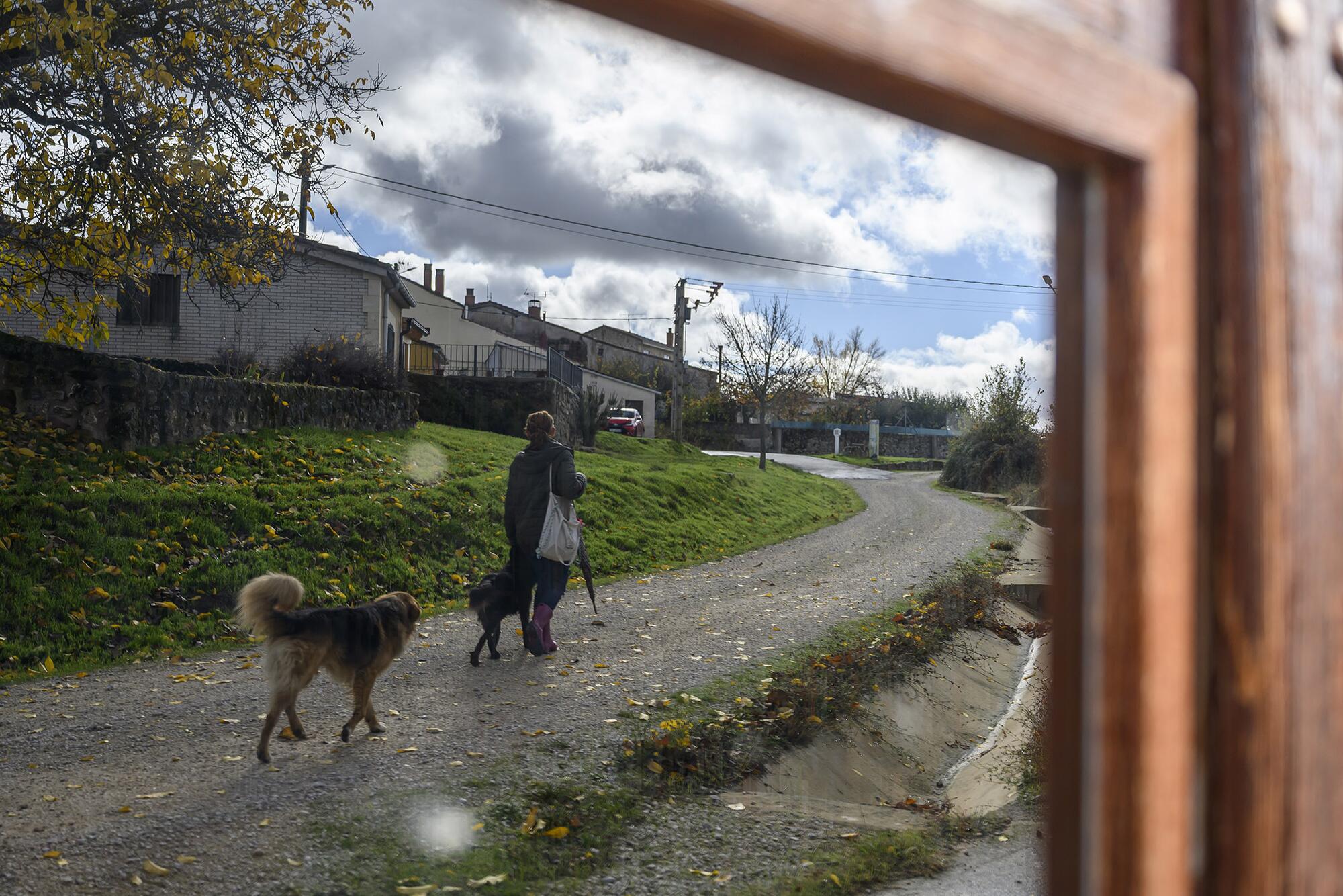 Quintanalara biblioteca - 3