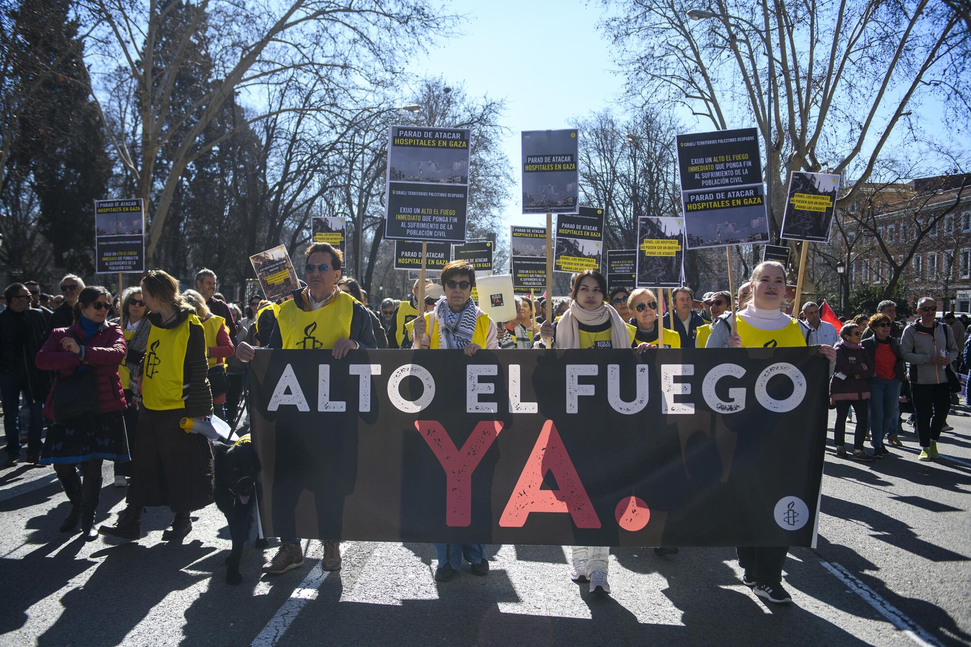 Manifestación del 17 de febrero "Libertad para Palestina" convocada por Sumar, IU, Más País, PCE y los grandes sindicatos. El PSOE apoyó la manifestación como "participante". - 12