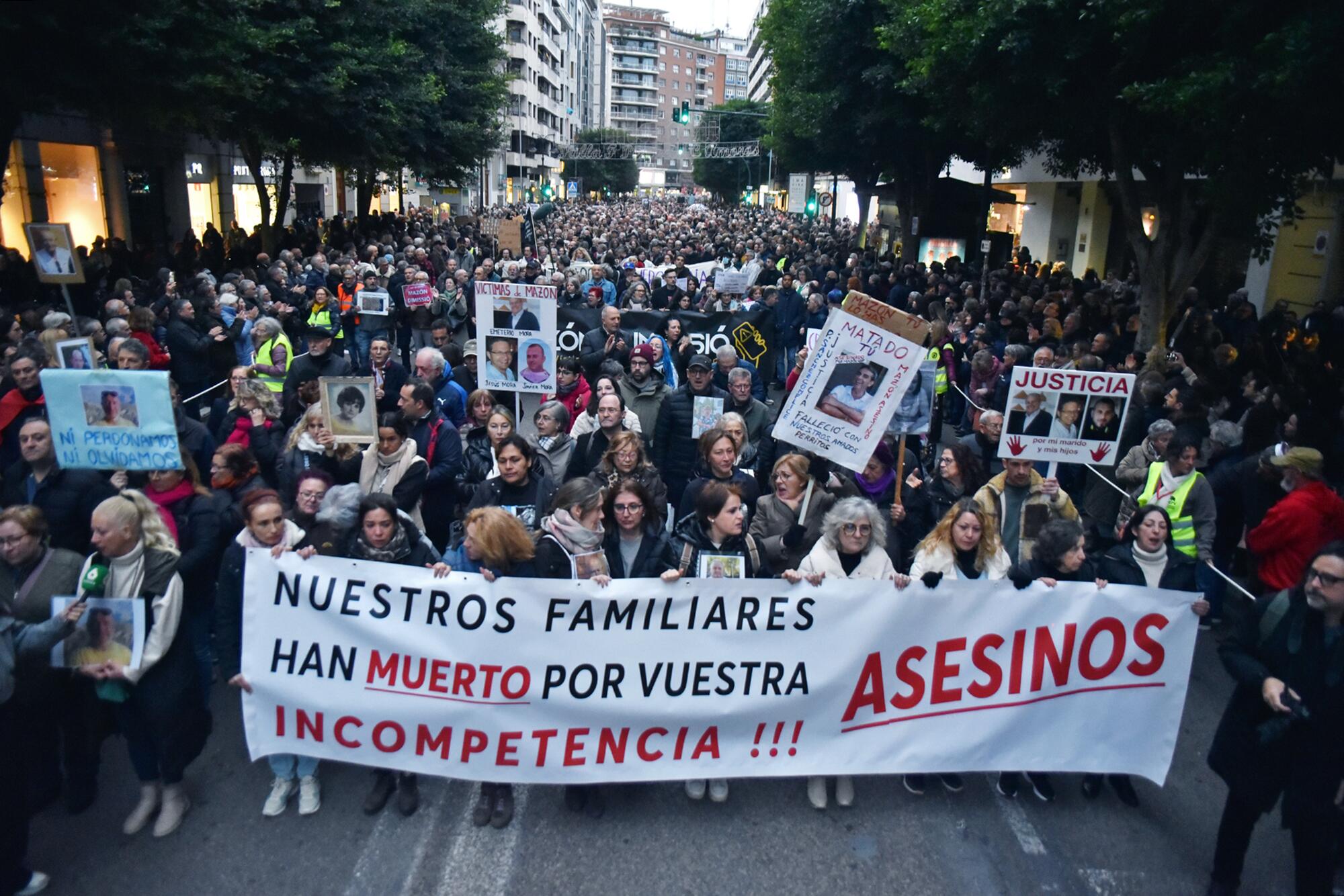 Dimisión Mazón manifestación - 3