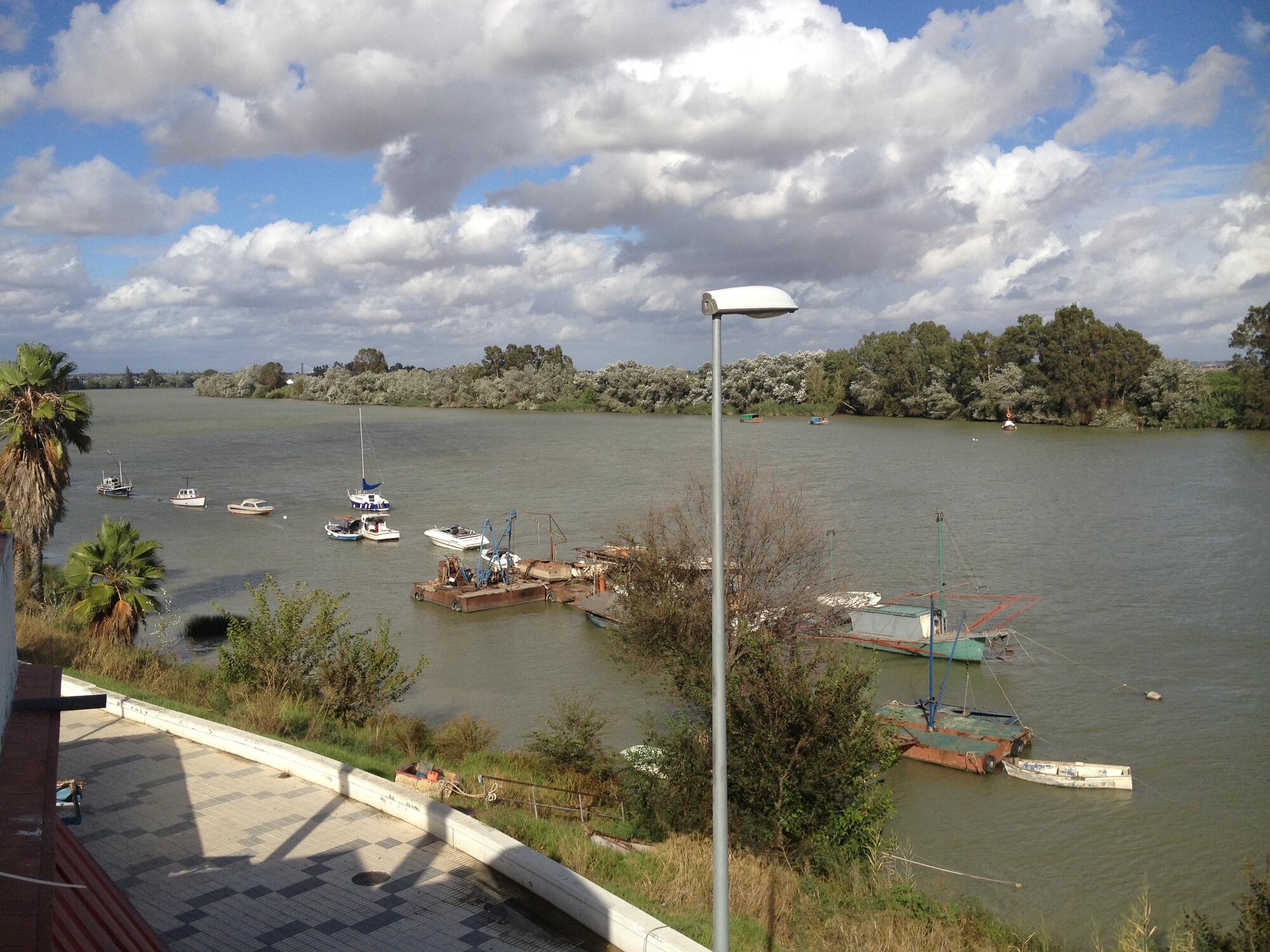 Estuario del Guadalquivir 2