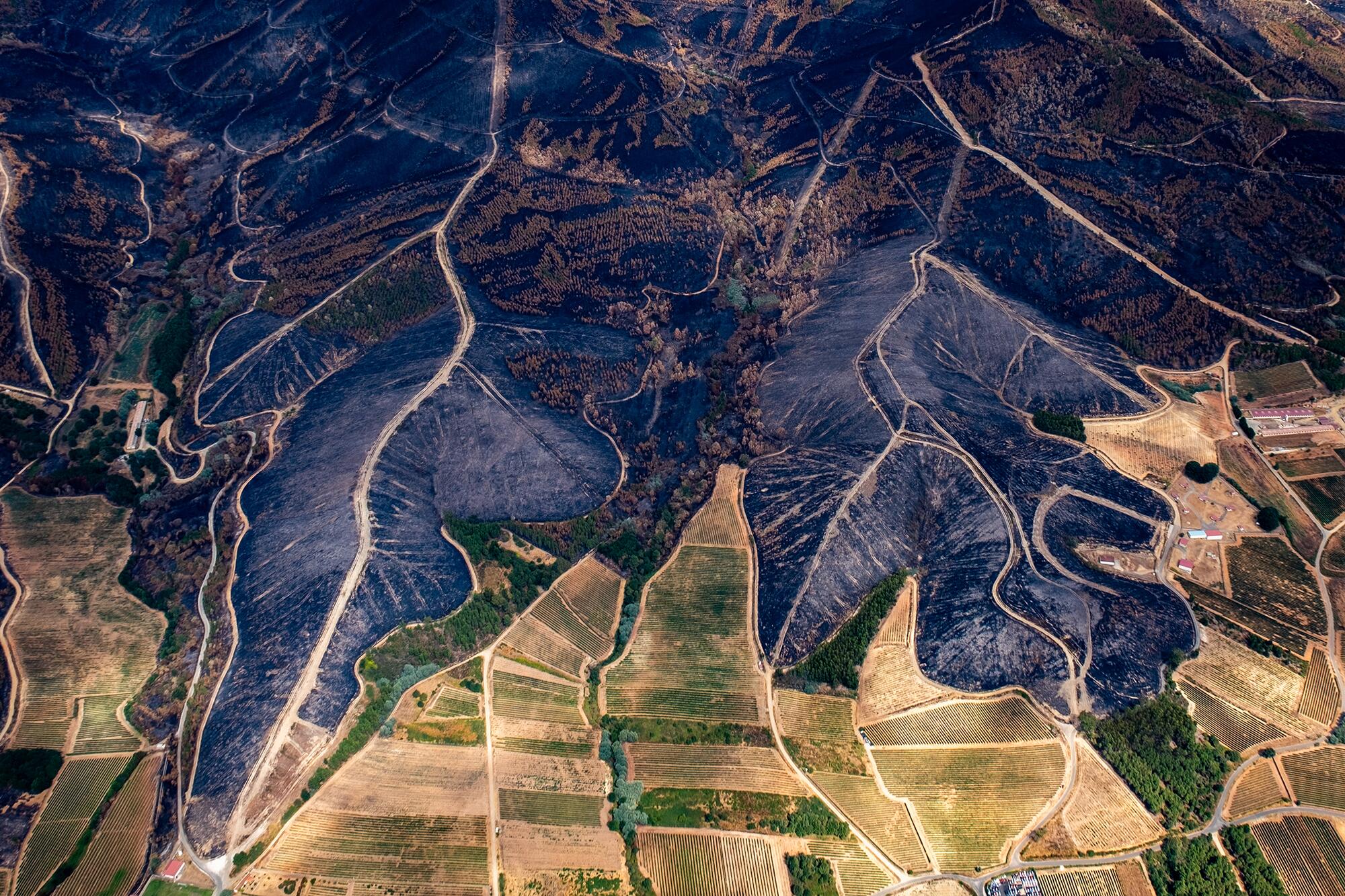 Incendios Greenpeace aereas - 13